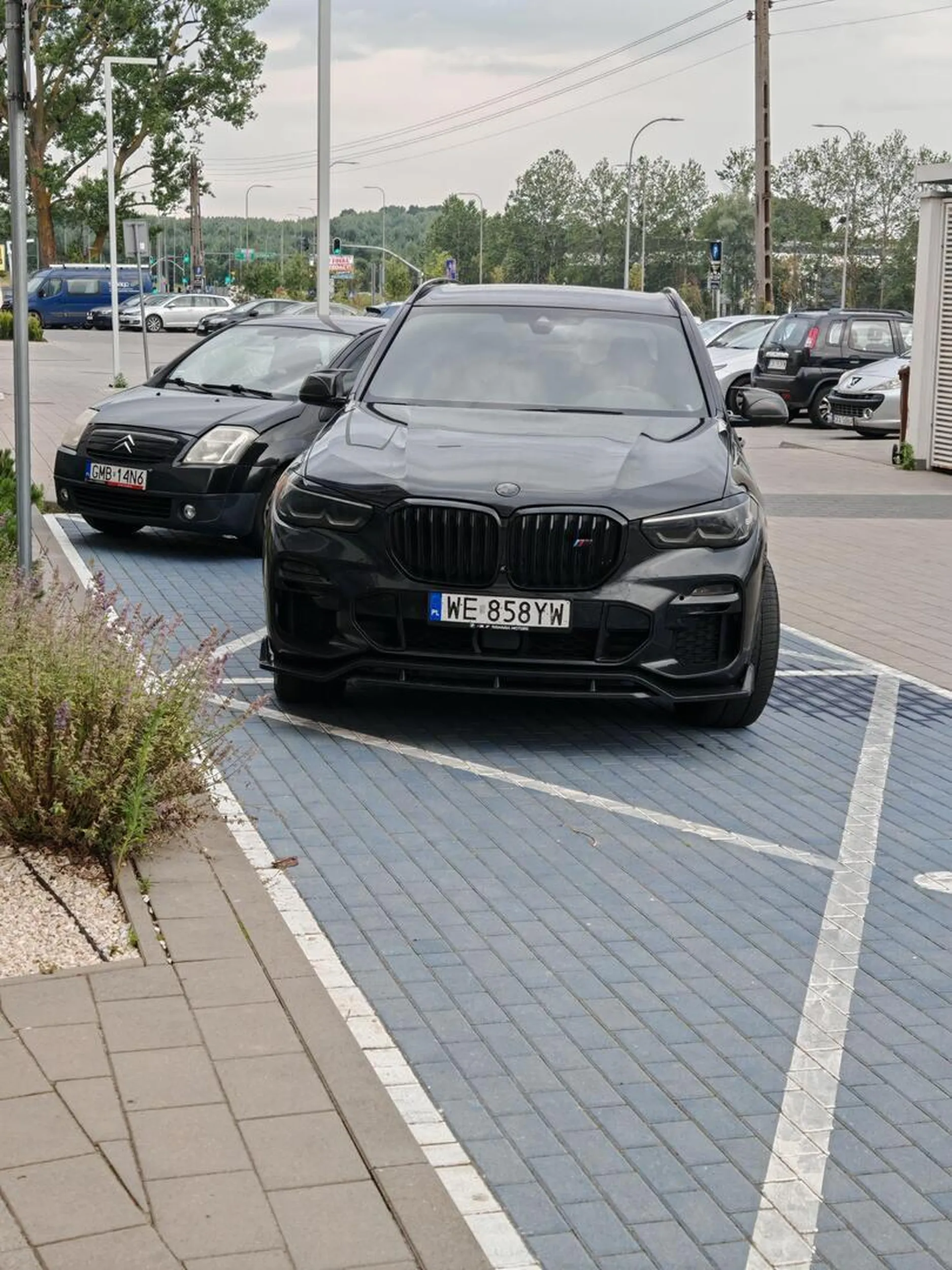 Burak zajmuje miejsce dla niepełnosprawnych, choć obok pełno wolnych miejsc.