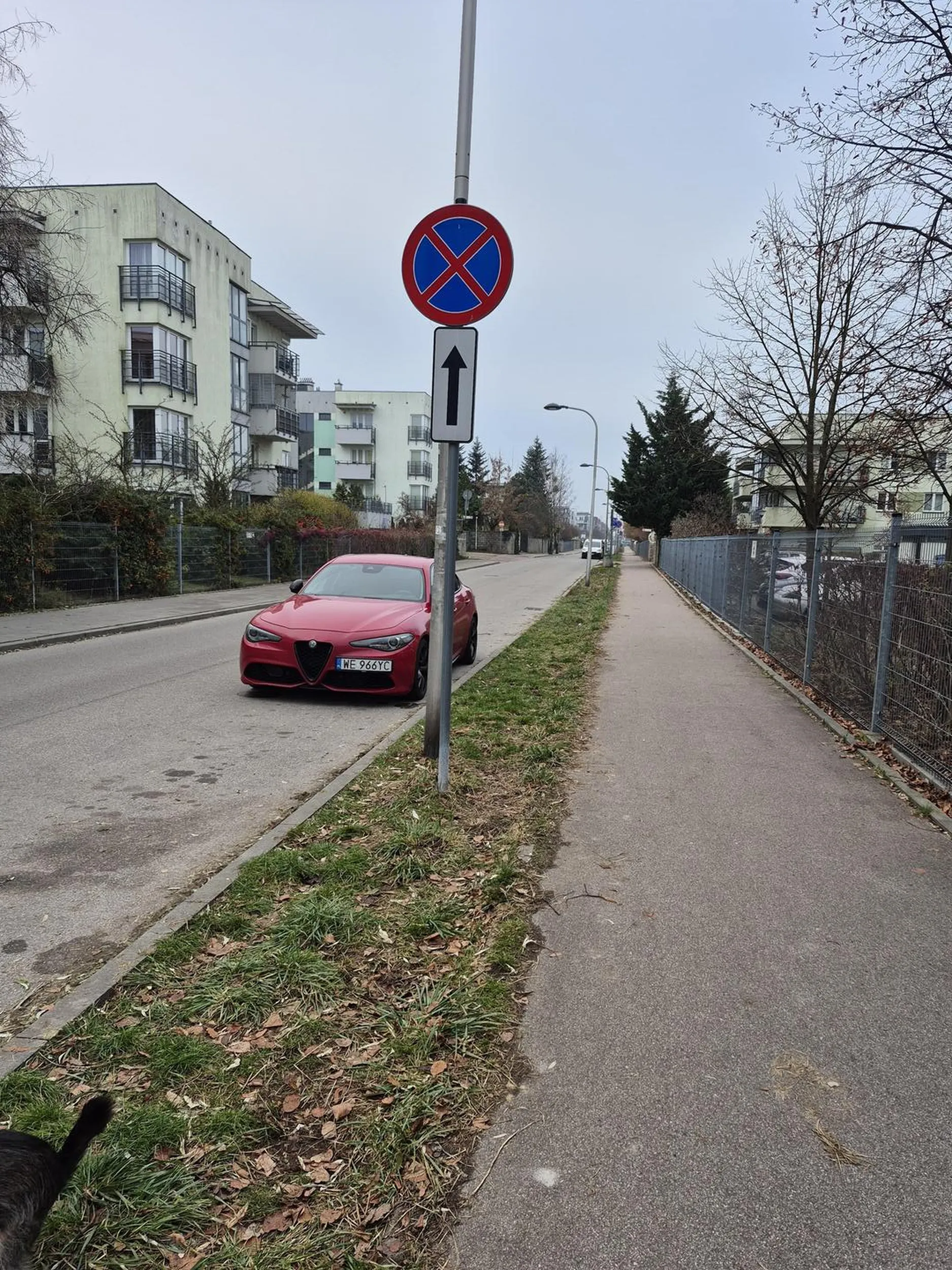 Nie umie parkowac. Zawsze na zakazie