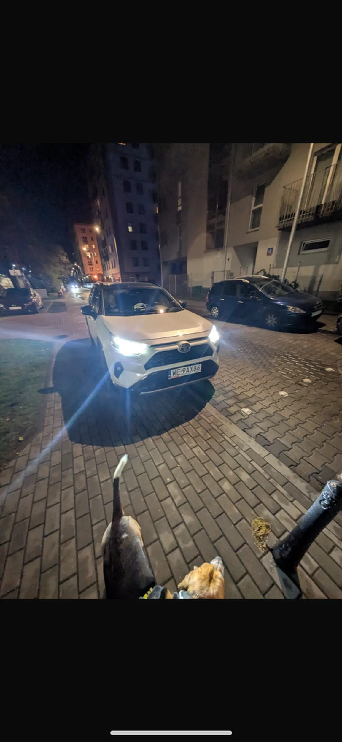 Mężczyzna kierujący autem wjechał dokładnie tam na chodnik gdzie szłam z psem - spychając  mnie na pobocze bo on sobie wjechał na chodnik i zaparkował żeby zrobić zakupy w sklepie. Gdybym nie odskoczyła i się cofnęła to by mnie i psa potrącił. Są świadkowie tego. Wysiadł z samochodu nawet „przepraszam” nie powiedział. Na ulicy zakaz parkowania.