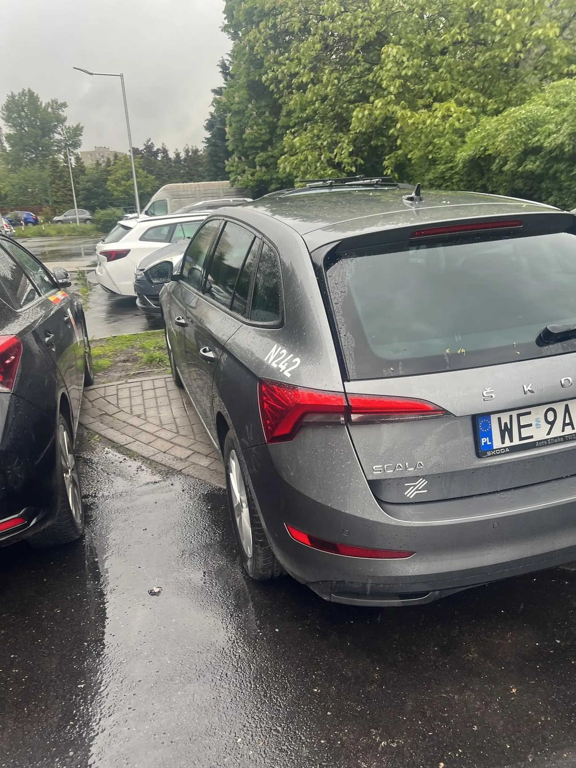 Mistrz kierownicy nagminnie niszczy miejską zieleń i zastawia chodniki