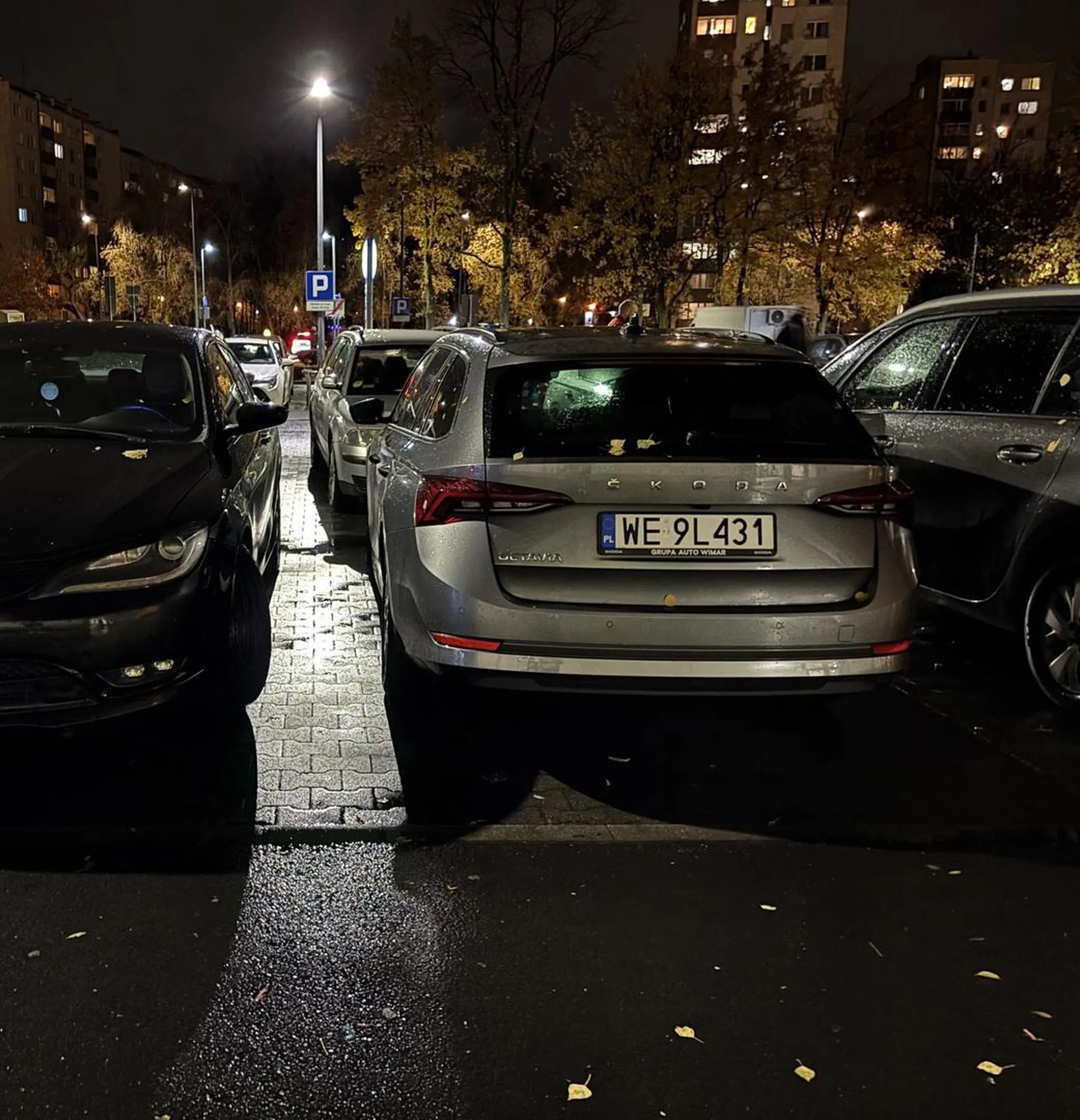 Parkuje tak, że nie może wysiąść, po czym uderza drzwiami i nie widzi problemu. Po zwróceniu uwagi wyzywa i przeklina. Prawo jazdy do odebrania i skierowanie na badania psychiatryczne.