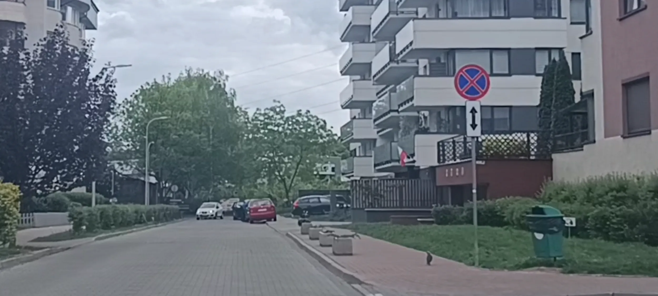 Wieś parkuje na chodniku na ulicy z zakazem zatrzymywania się i postoju