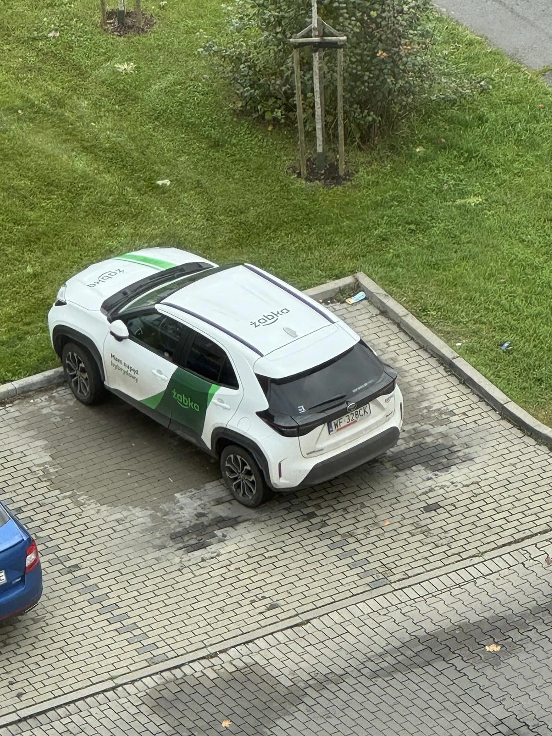 Parkuje jak p|zd@, ewidentnie prawo jazdy z lays