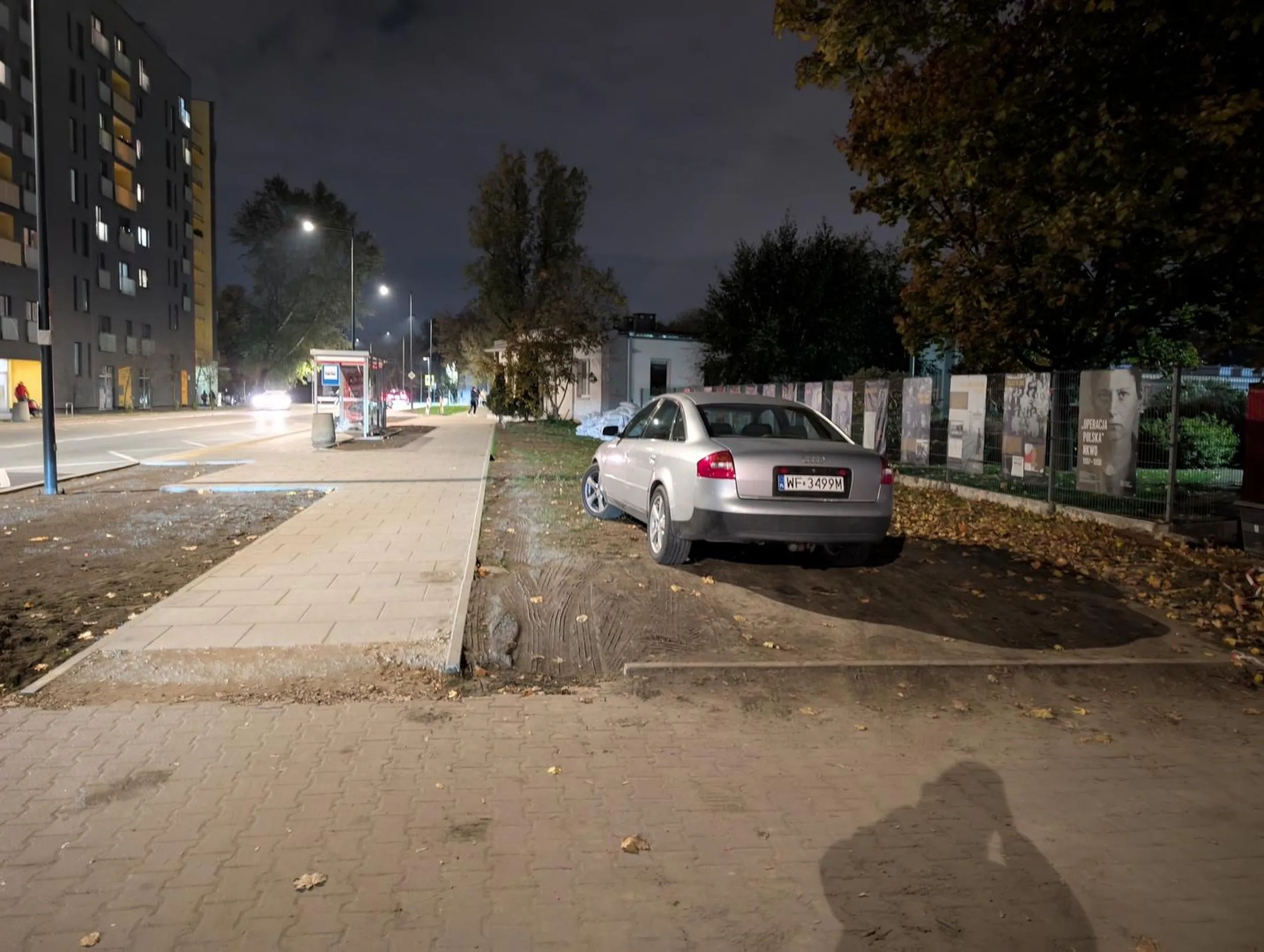 Wcześniej w tym miejscu i okolicy cały sznur aut, wieczorem tylko ten rodzynek kwitnie na trawie.