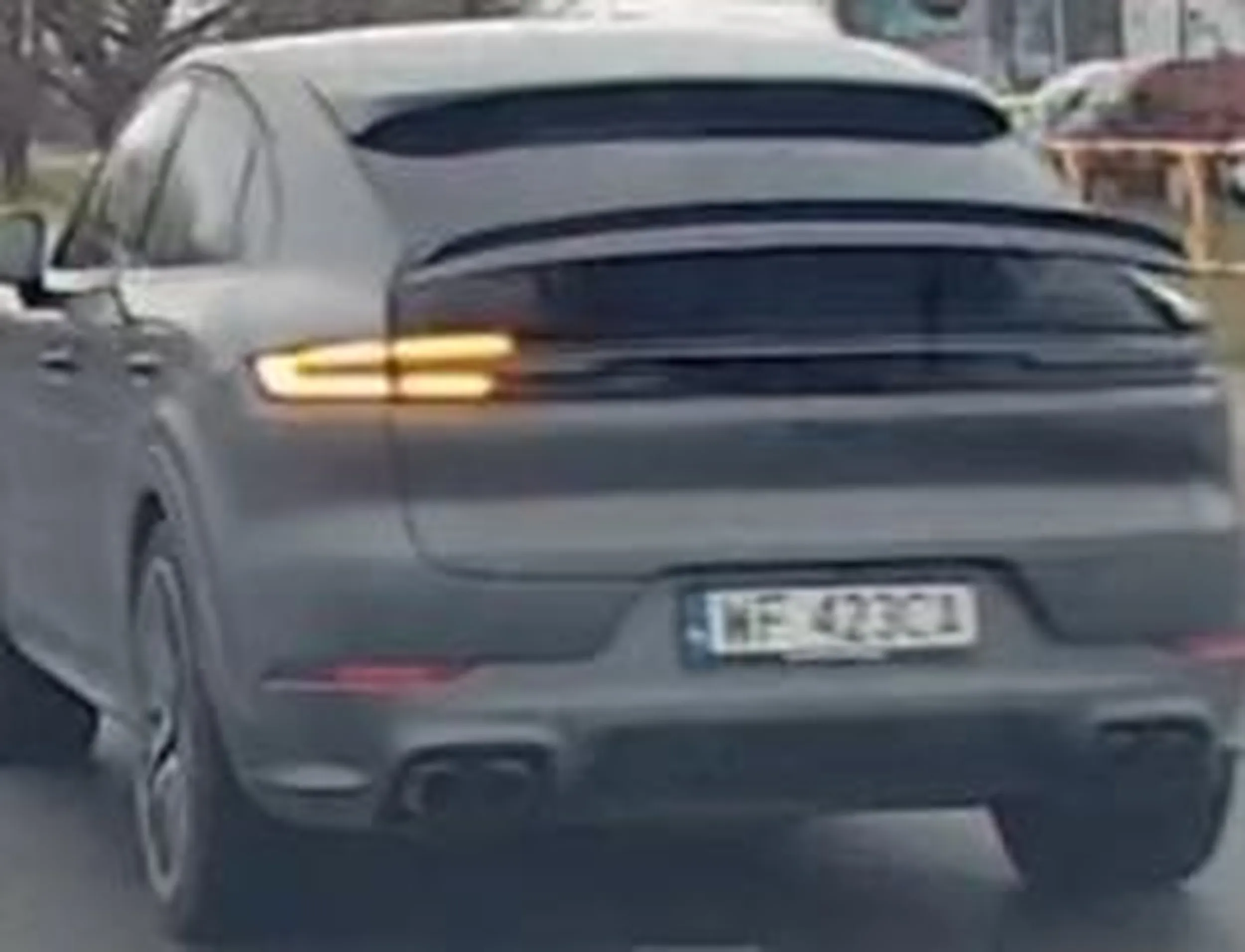 Filmik z rajdu tego przygłupa wysłałam do centrali Porsche i na policję.