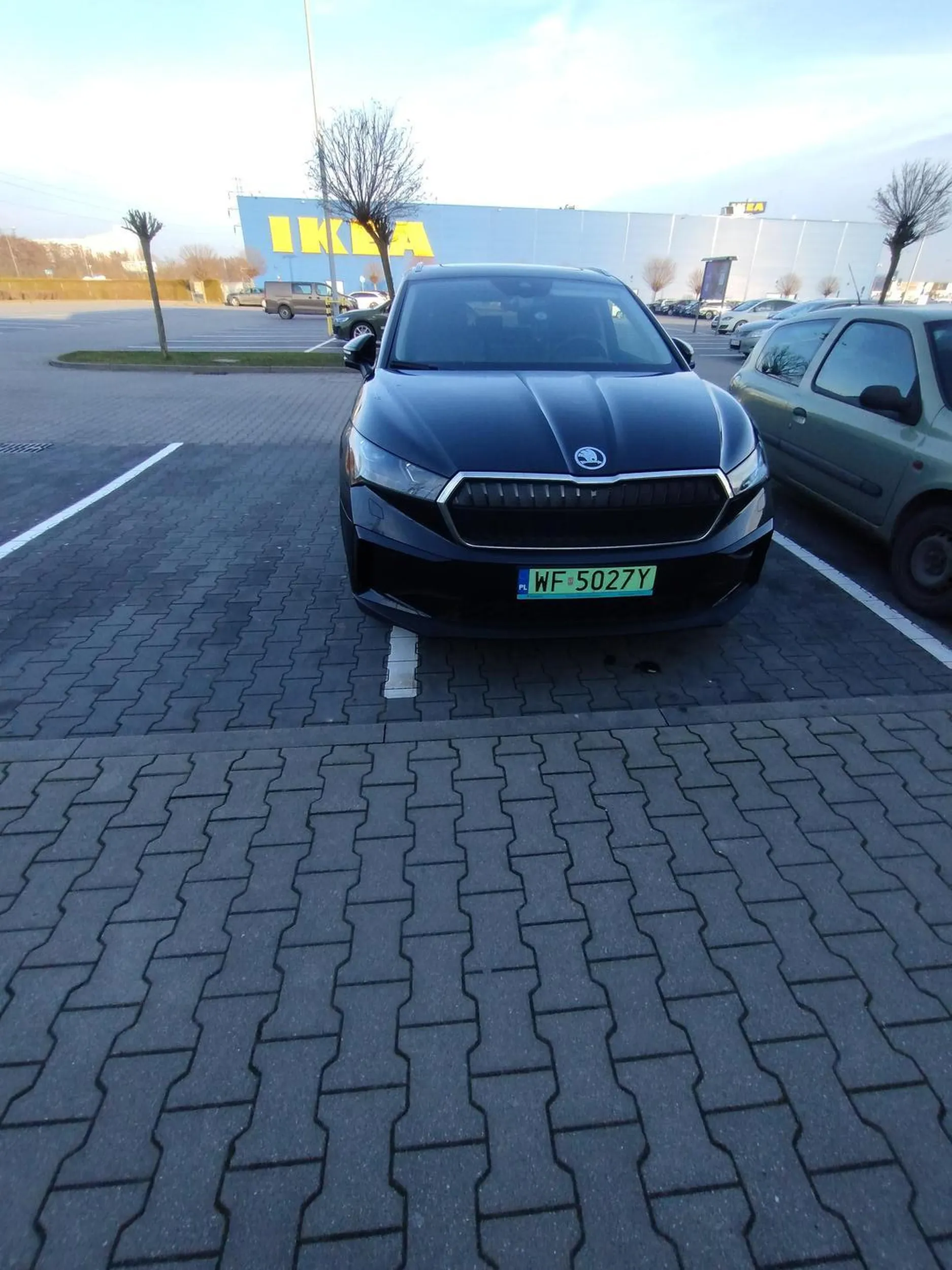 Frajeżysko nie umie parkować