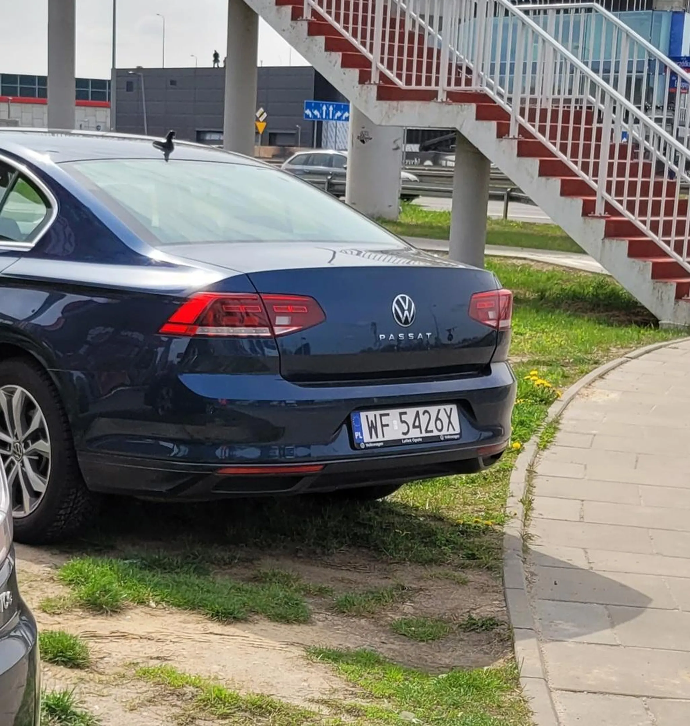 Po co niszczyć zieleń?