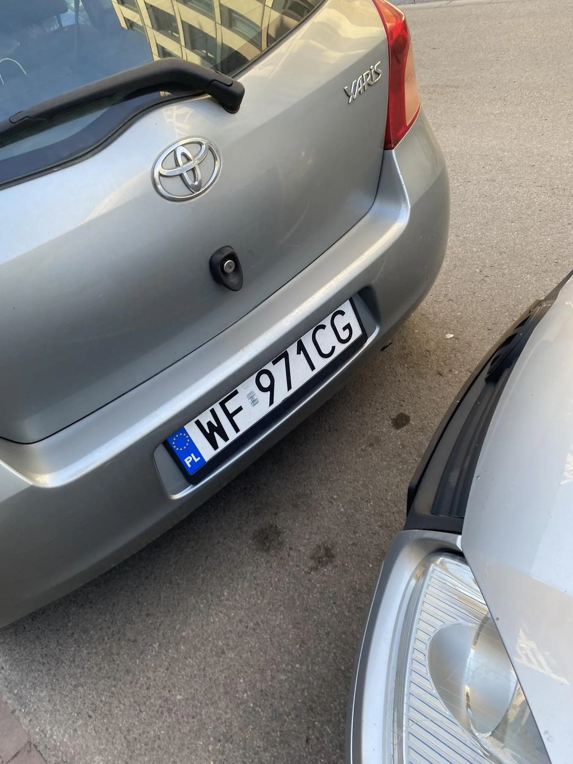 Psychol uderzył w moje auto specjalnie