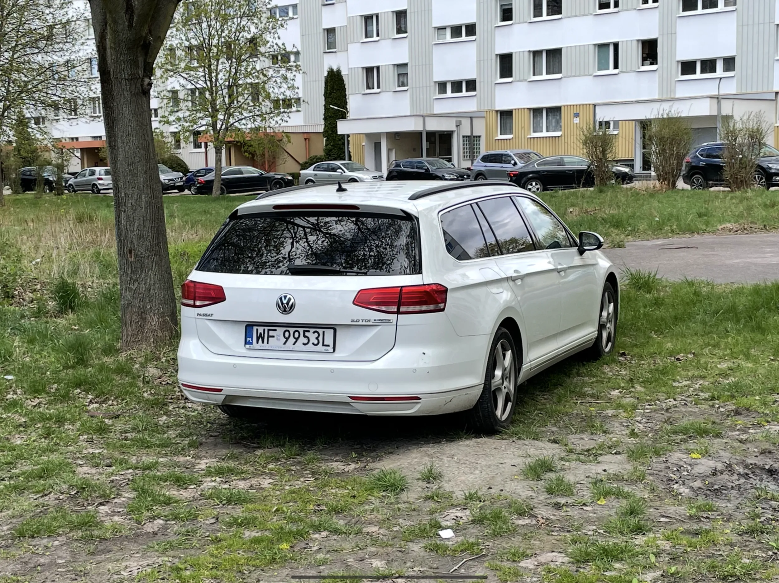 Typowa ameba umysłowa. Mandat już dostałeś, teraz masz szansę zaistnieć w internecie (ponownie).