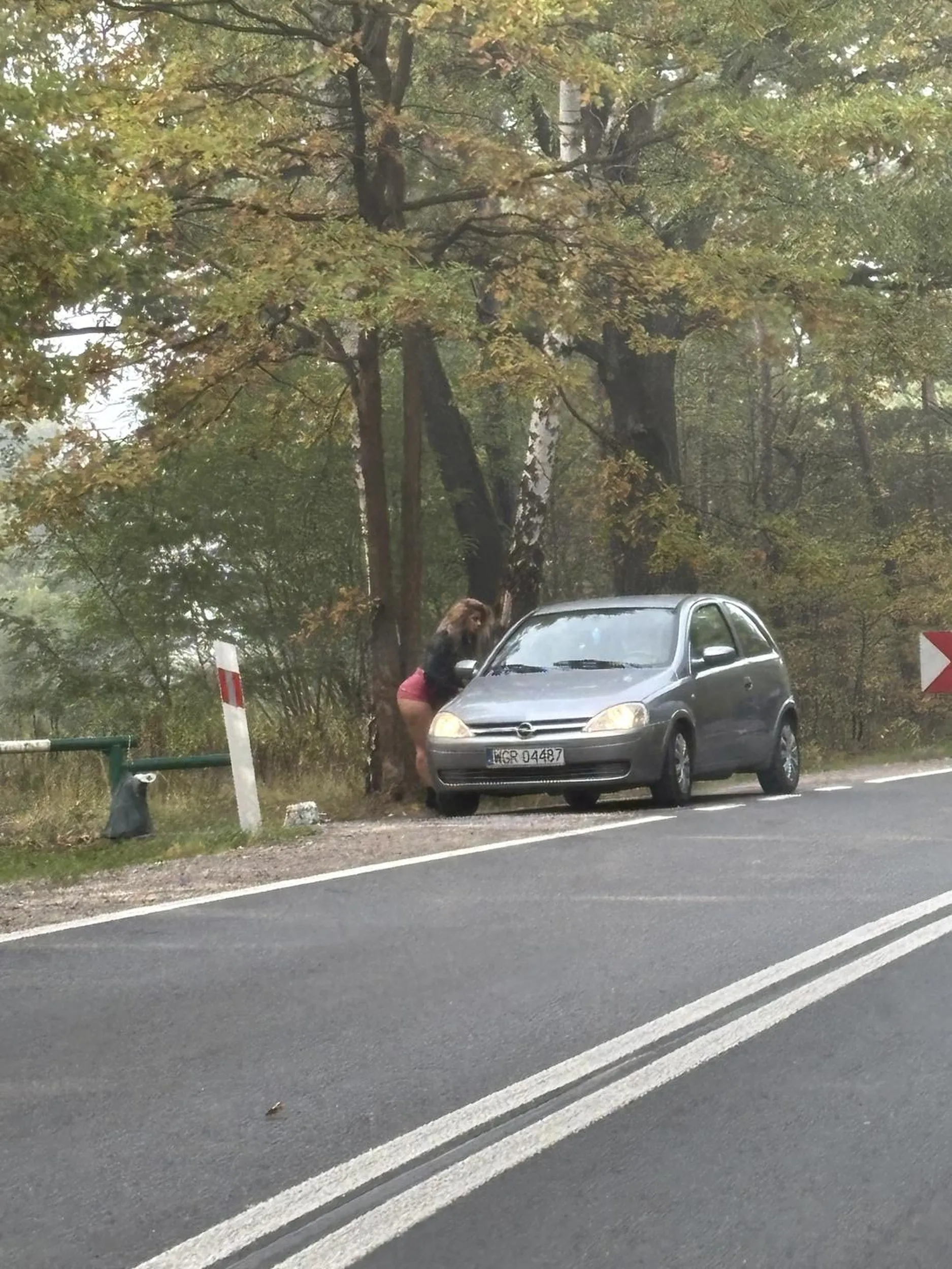 Pozdrawiam kierowcę srebrnej corsy. To miłe z twojej strony że pomogłeś tej biednej autostopowiczce ❤️