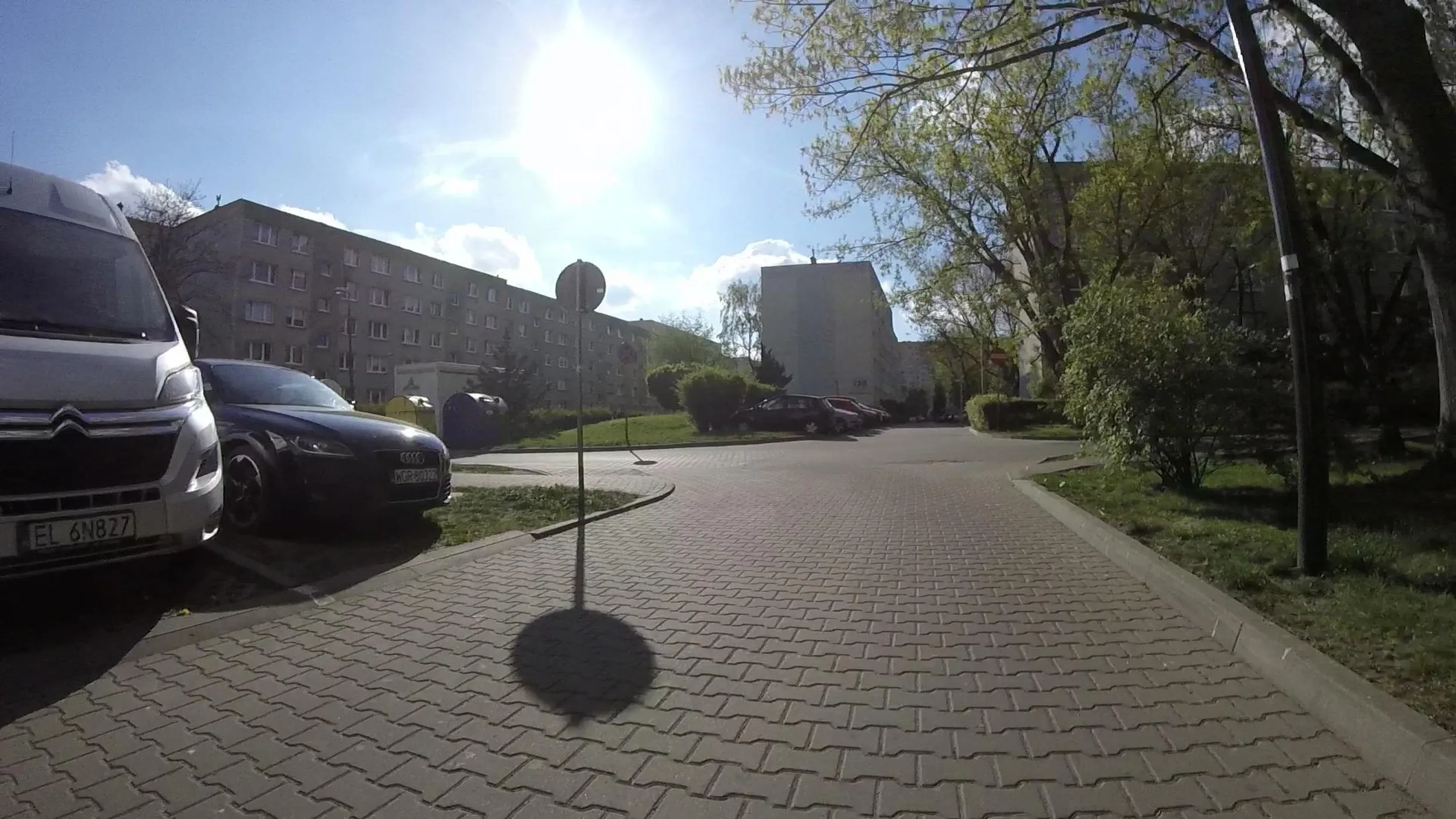 dlaczego niszczysz zieleń ?