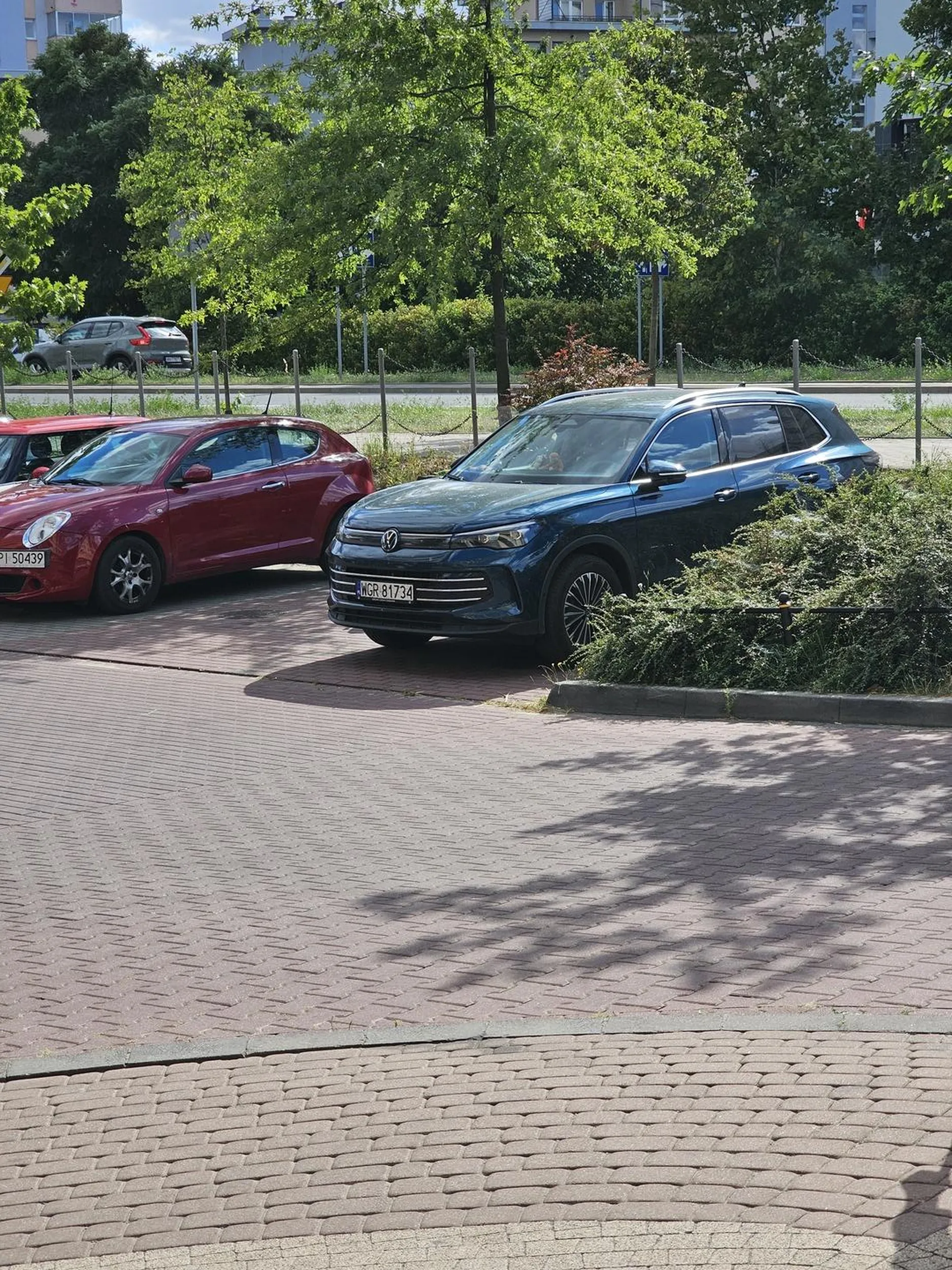 Burak, adekwatny do rejestracji