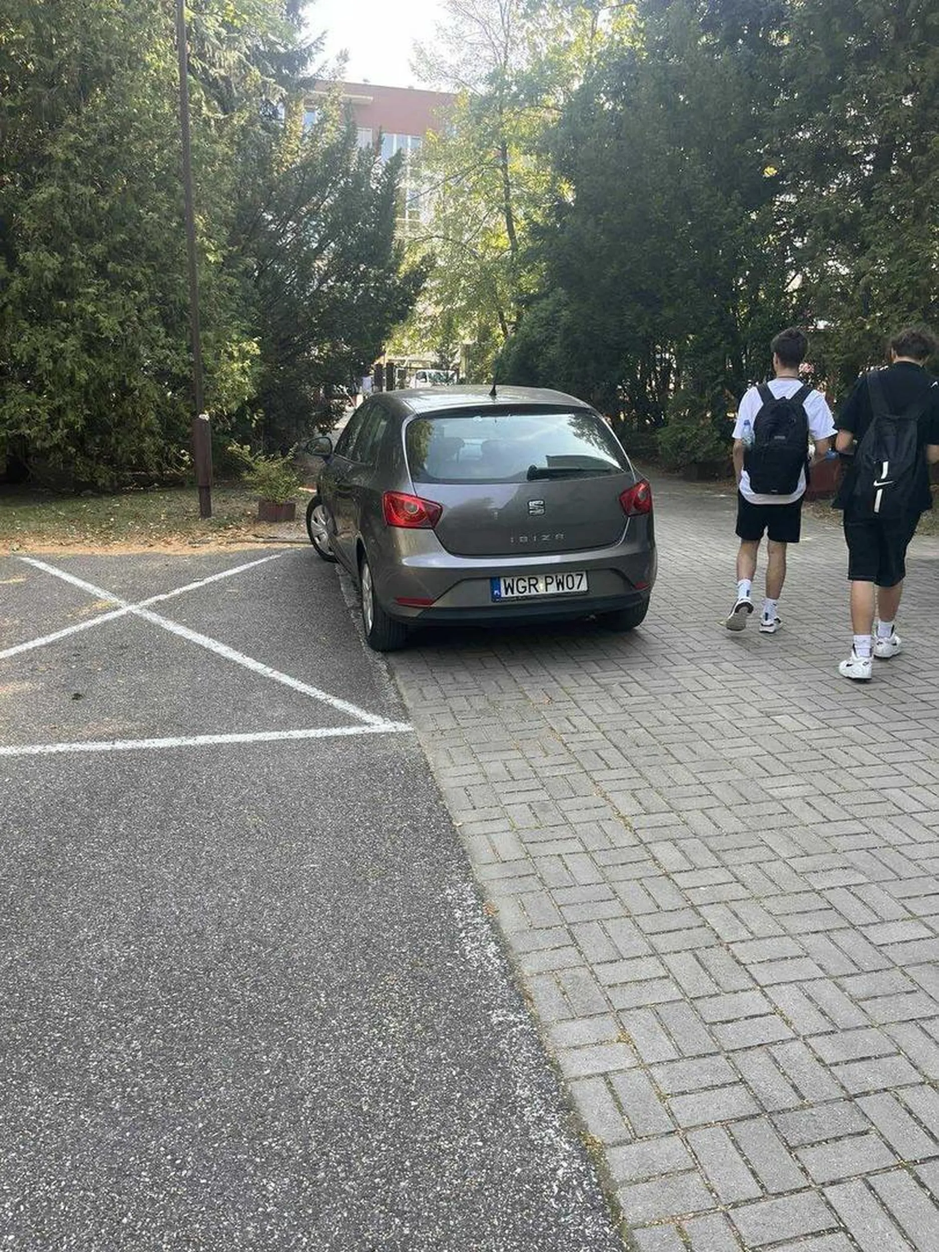 Bardzo piękny wzór dla uczniów czyli młodych przyszłych kierowców