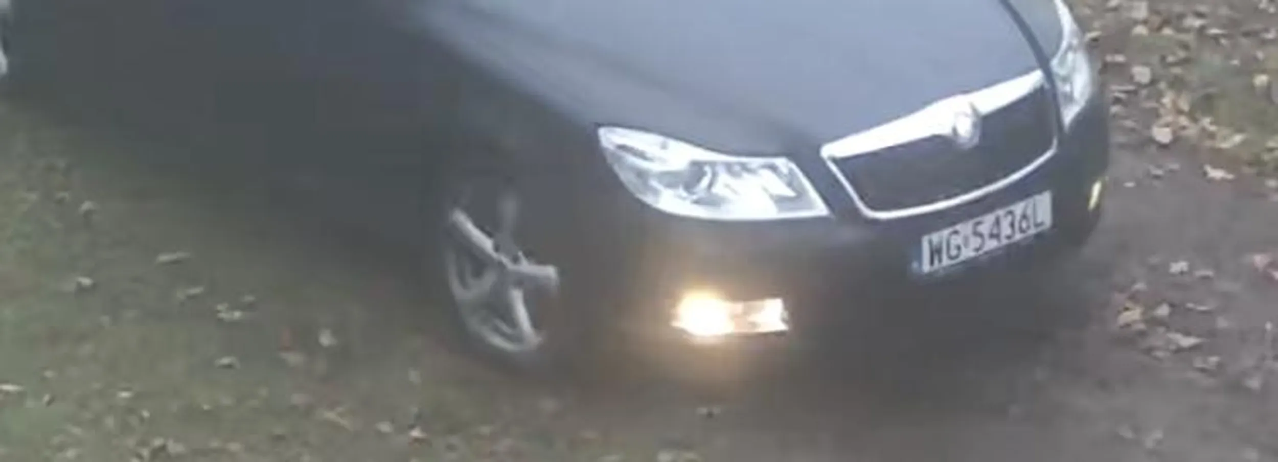 Wyrzuca śmieci w miejscu nie dozwolonym