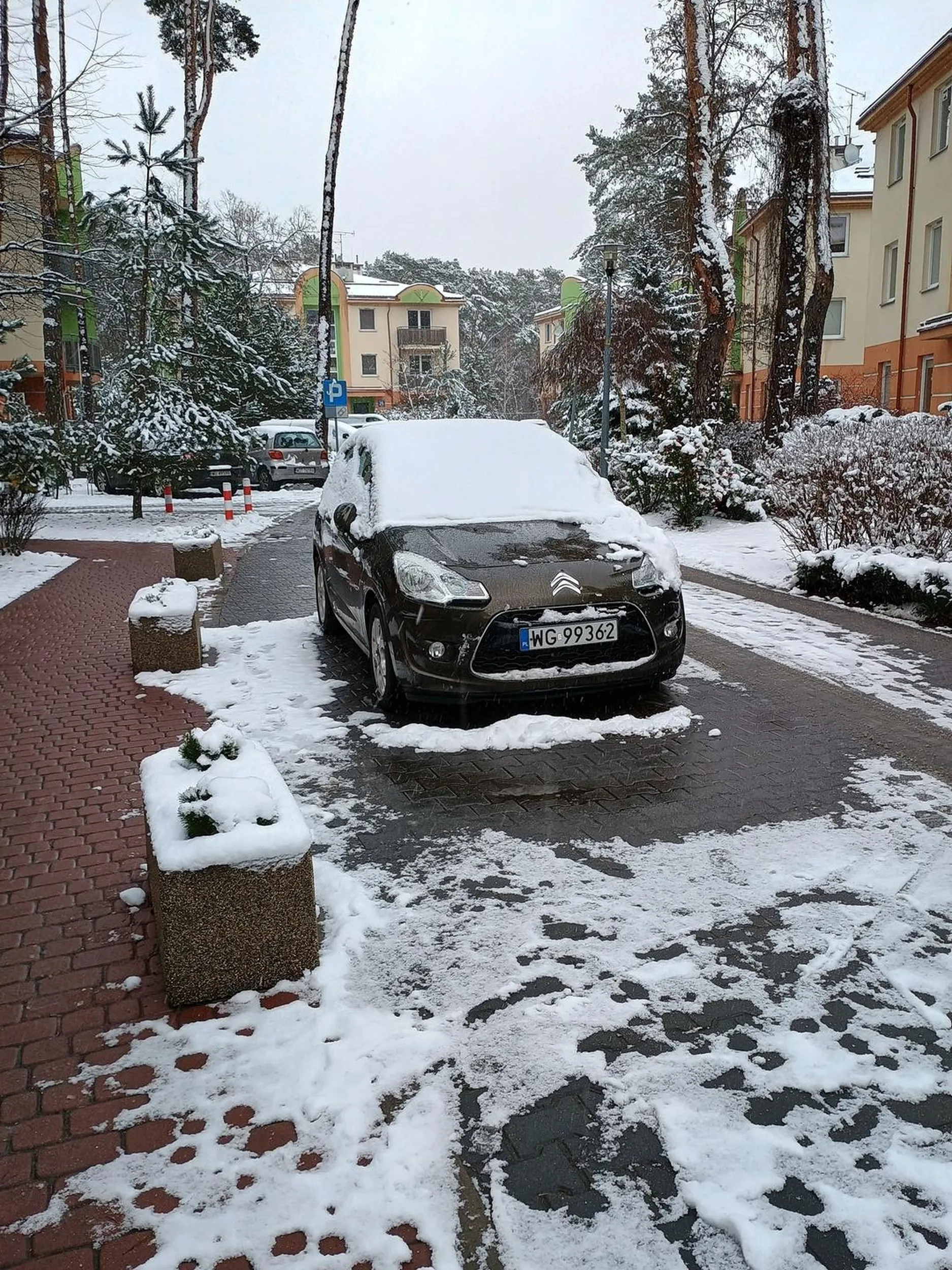 12.01.2025 Nowy rok, stare nawyki...