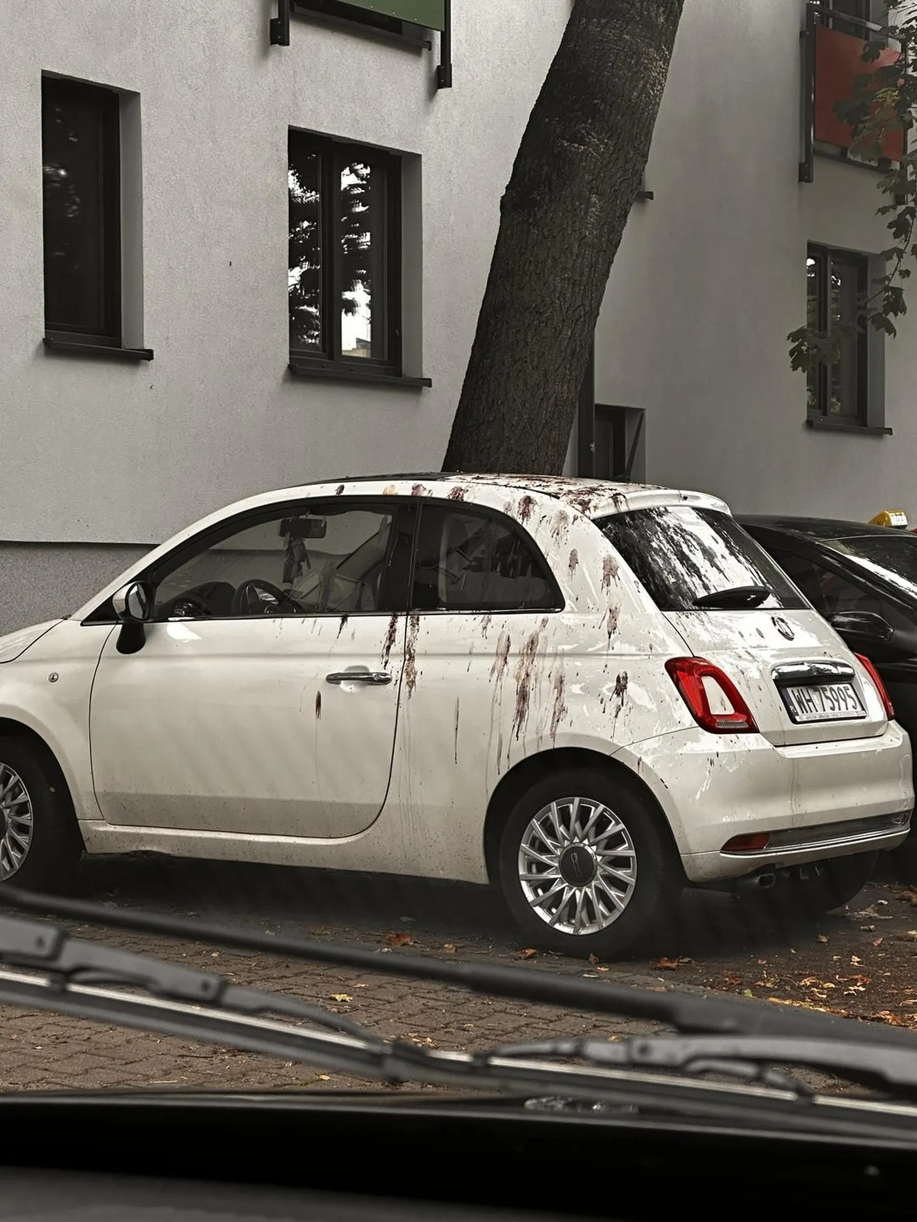 Umyjcie ten samochód bo wżery się zrobią, ludzie kochani.