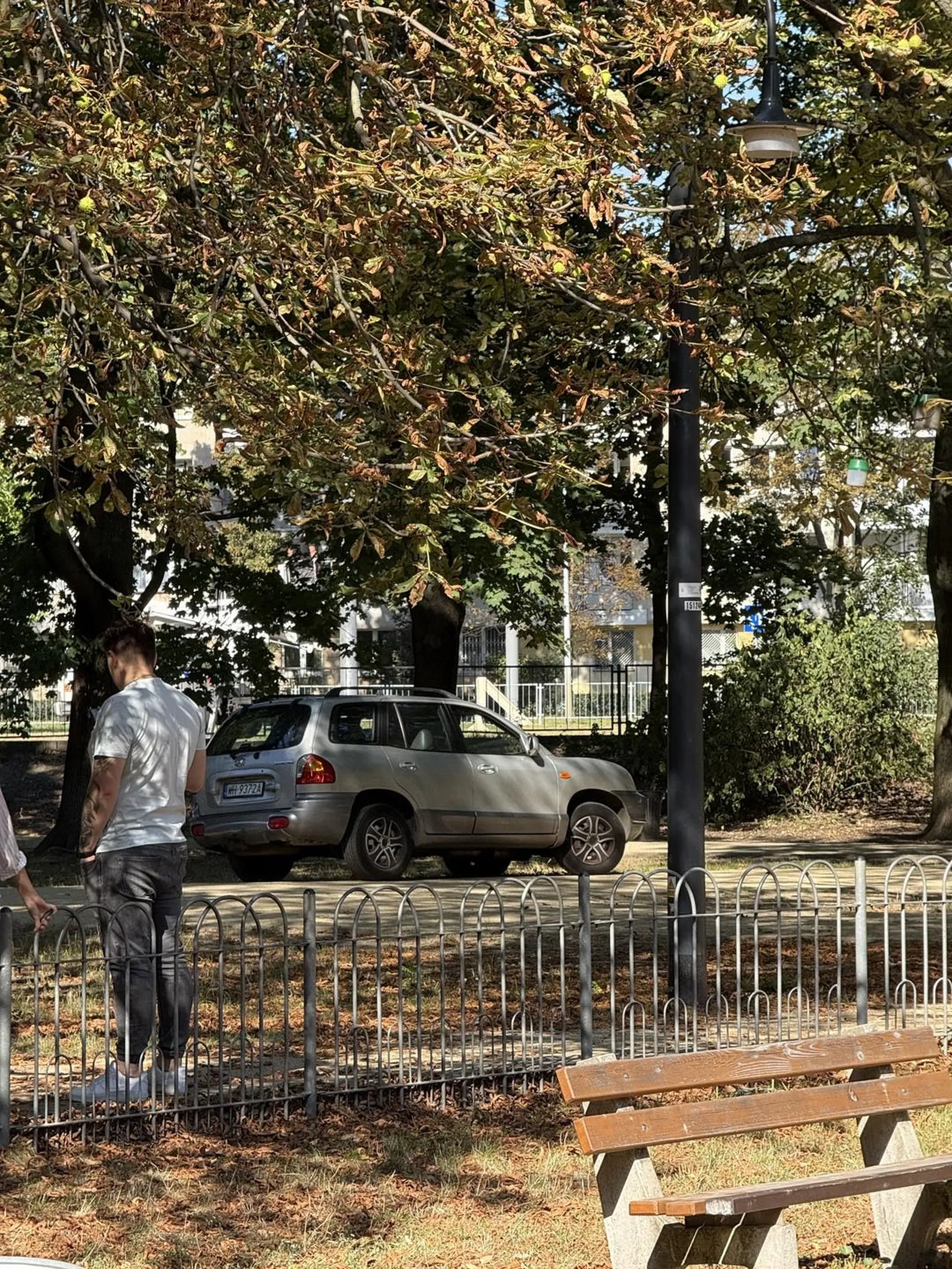 Wjazd autem na teren parku miejskiego