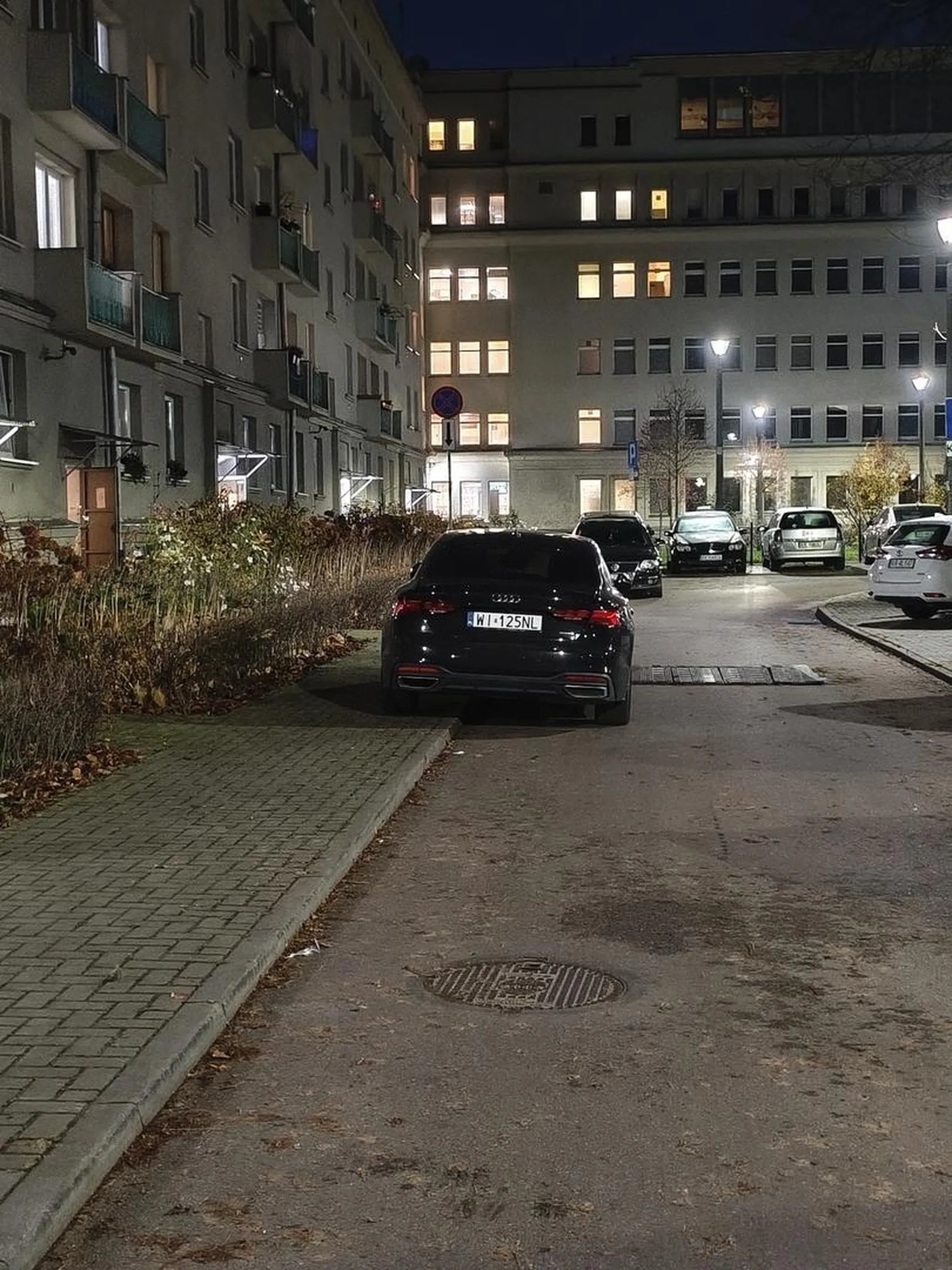 Jest zakaz zatrzymywania i postoju - jest, gdzie go ma kierujący kAUDI? W DUPIE!!!