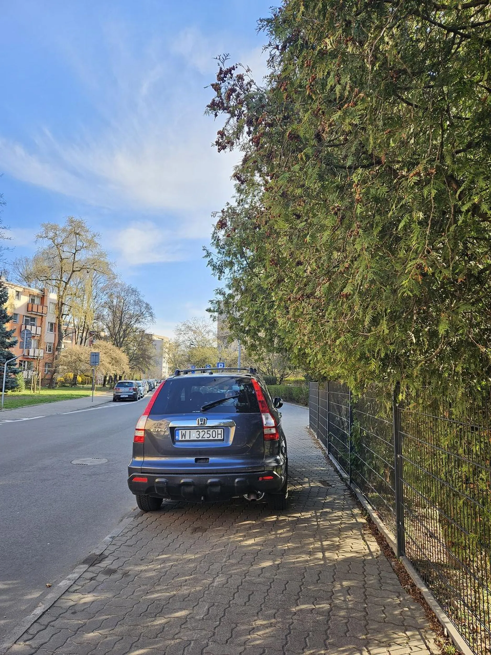 Niepełnosprawni i matki z dziećmi według tego pajaca powinni zacząć lewitować?