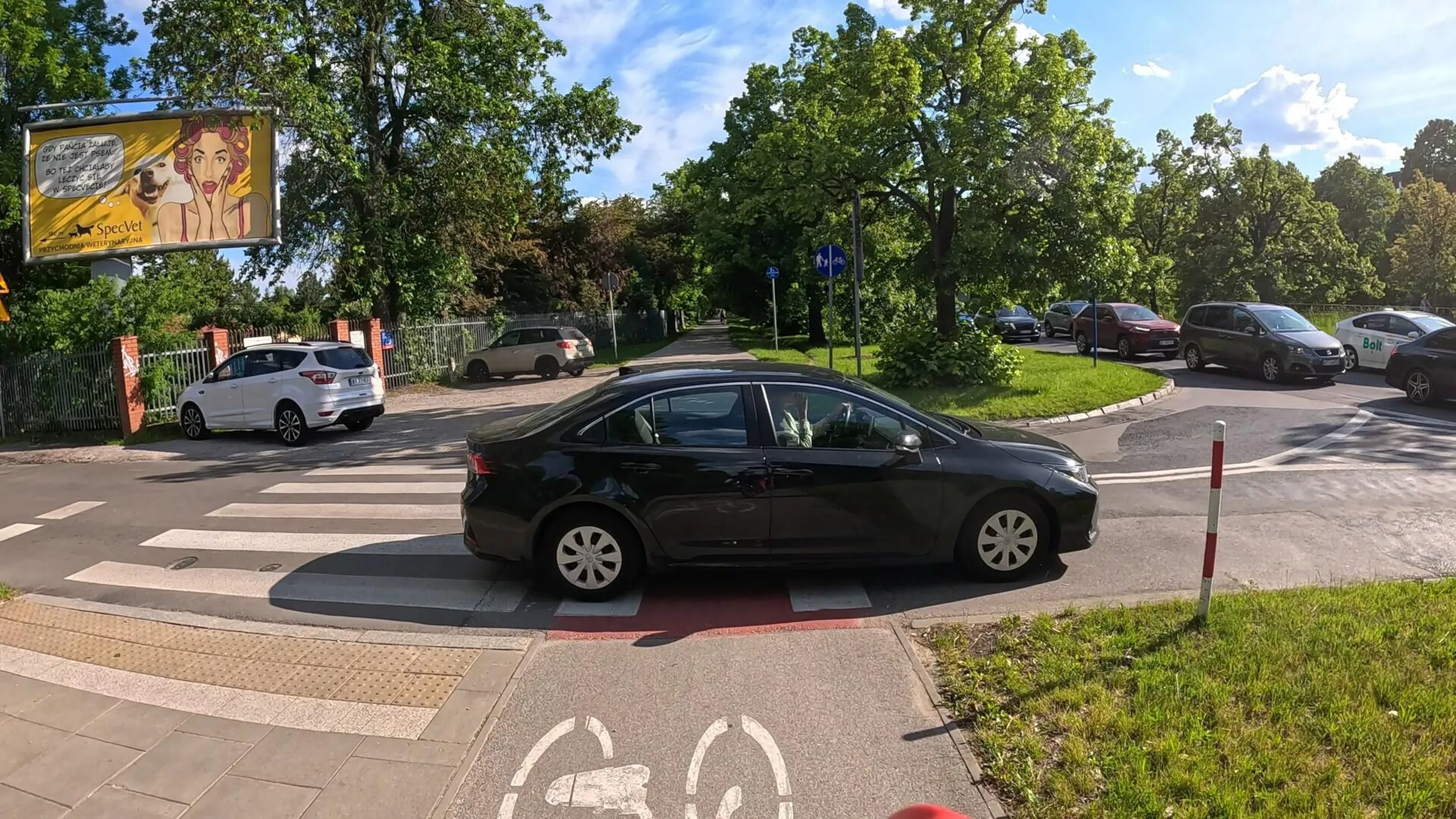 Paniusia która bardziej jest zainteresowana piciem podczas przejeżdżania przez przejście niż tym, że właśnie wymusza pierwszeństwo bo i tak nie wyjedzie na żwirki, bo samochody w korku. Autobusem jeźdź jak ci się ta pusta głowa nie obraca