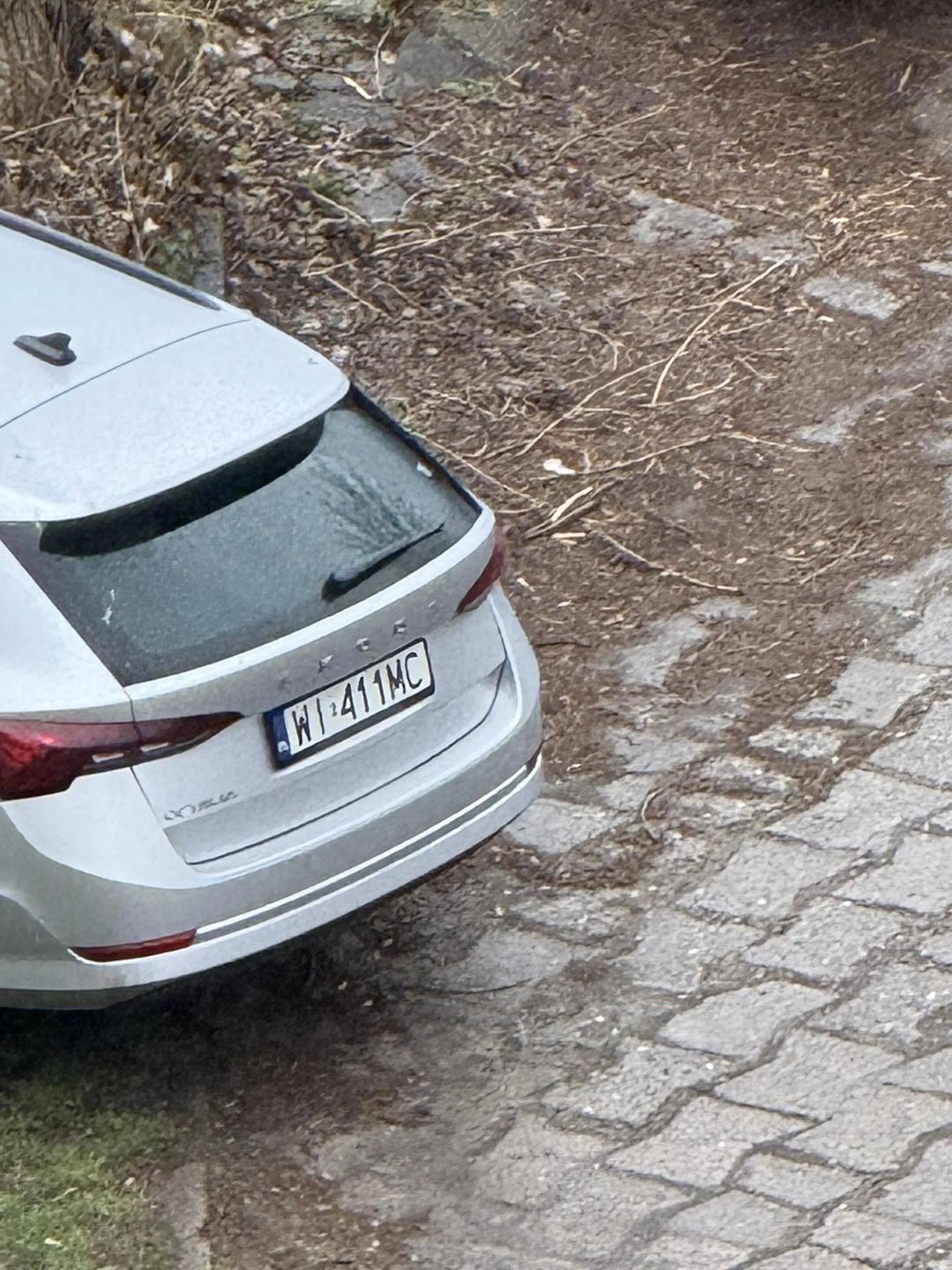 Parking wolny a osioł staje na trawie