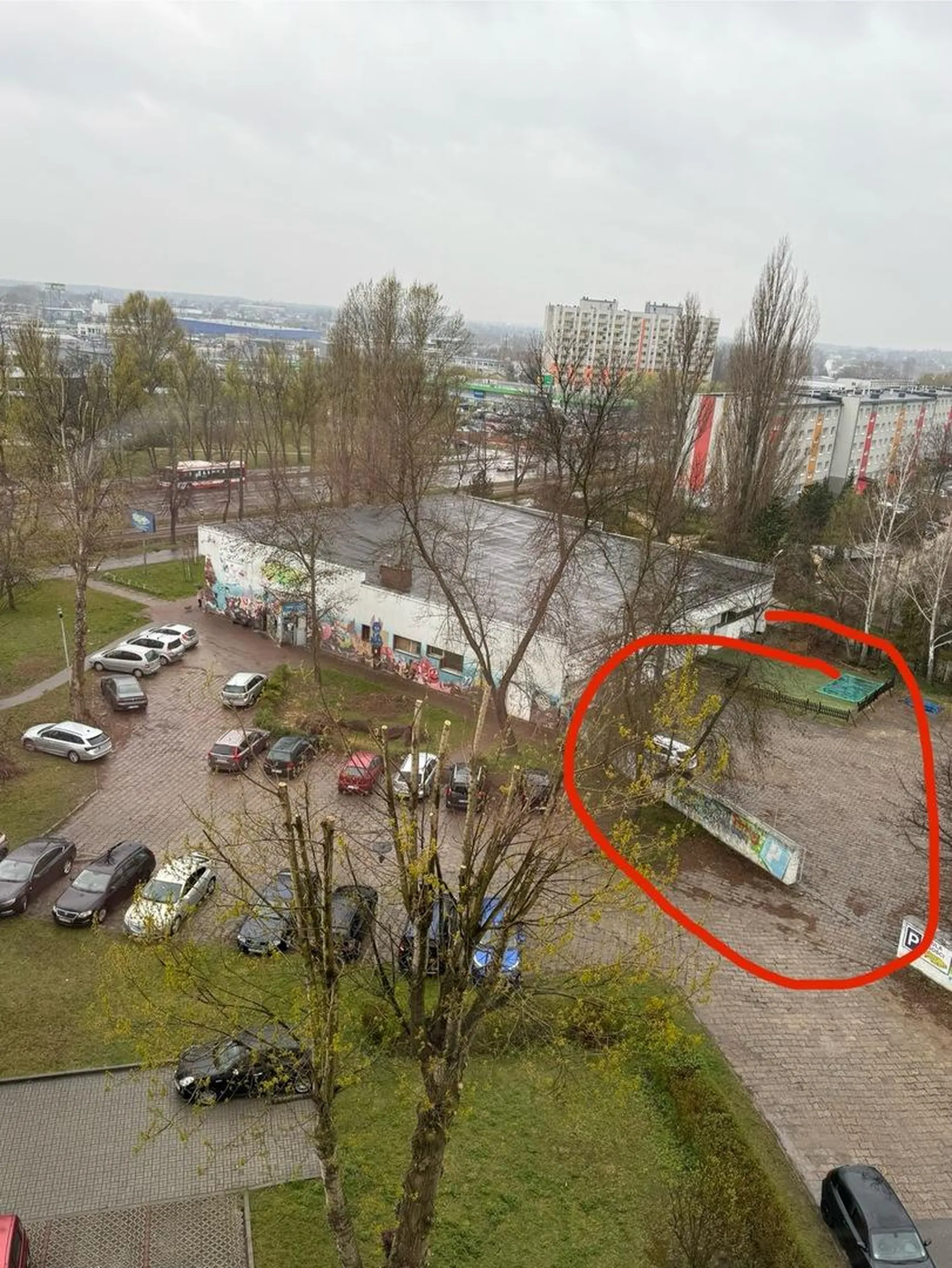 Parking wolny a osioł staje na trawie