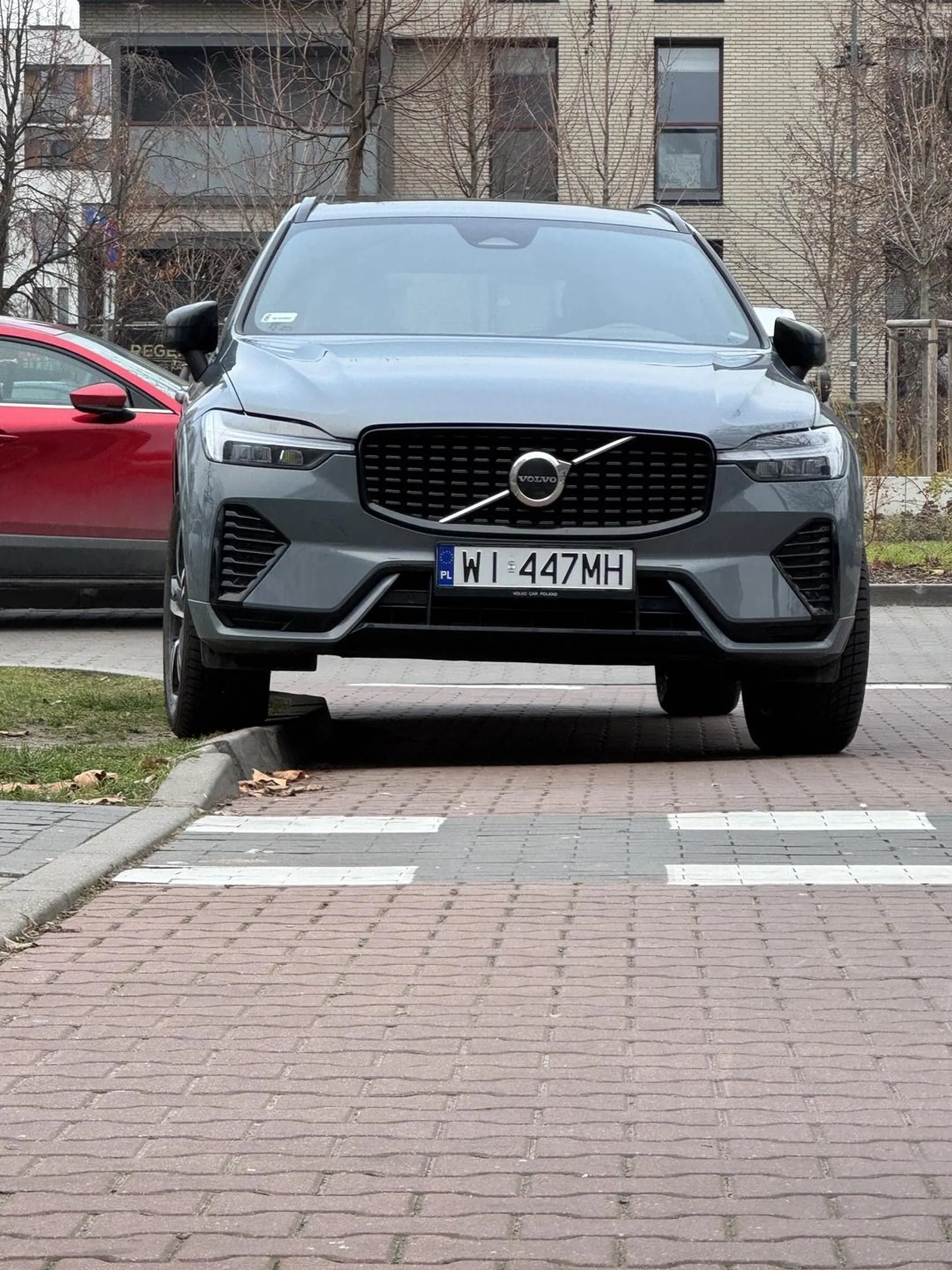 Ja tu tylko na chwilkę… Oczywiście na trawniku i na wjeździe do garażu.