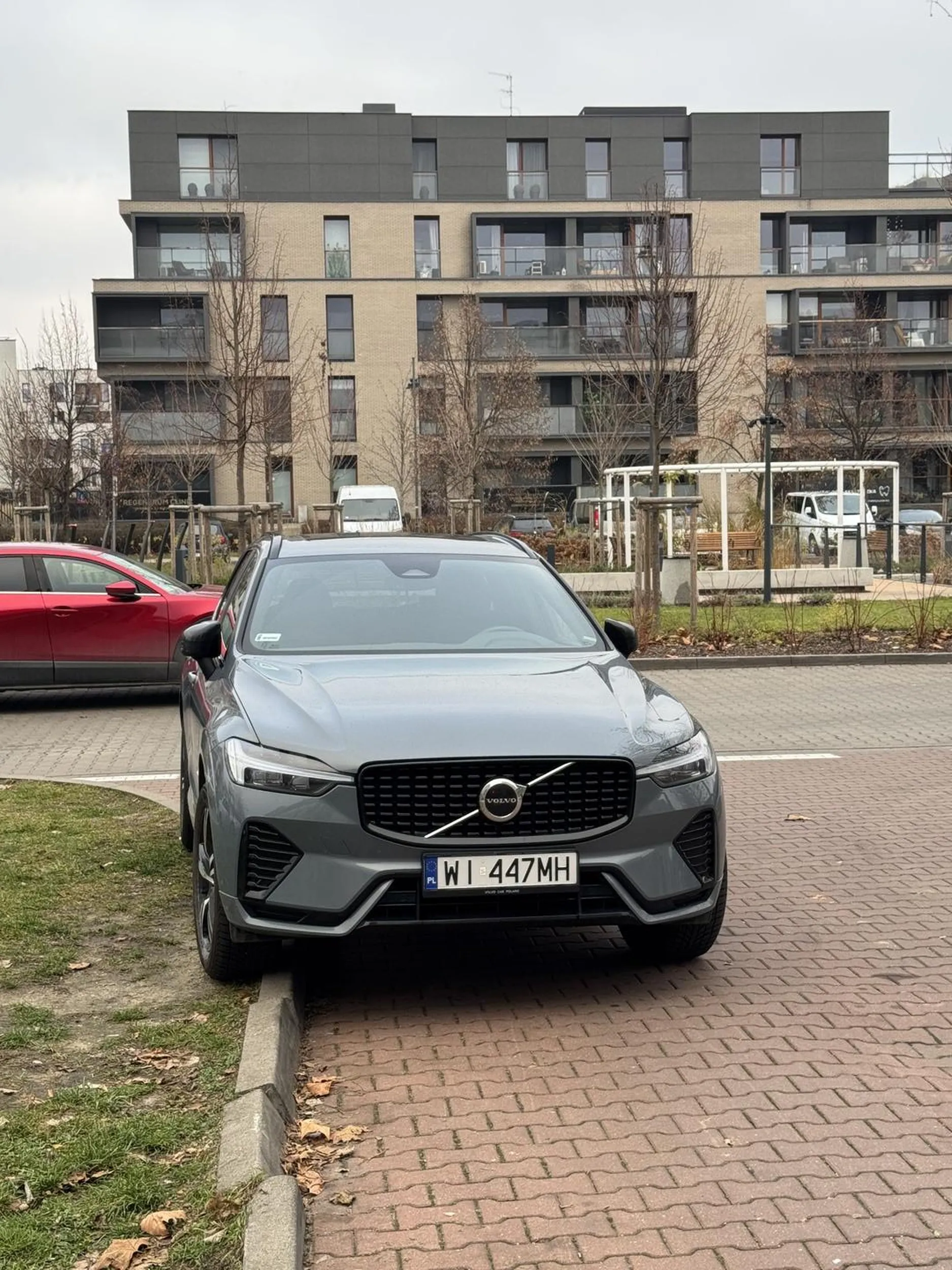 Ja tu tylko na chwilkę… Oczywiście na trawniku i na wjeździe do garażu.