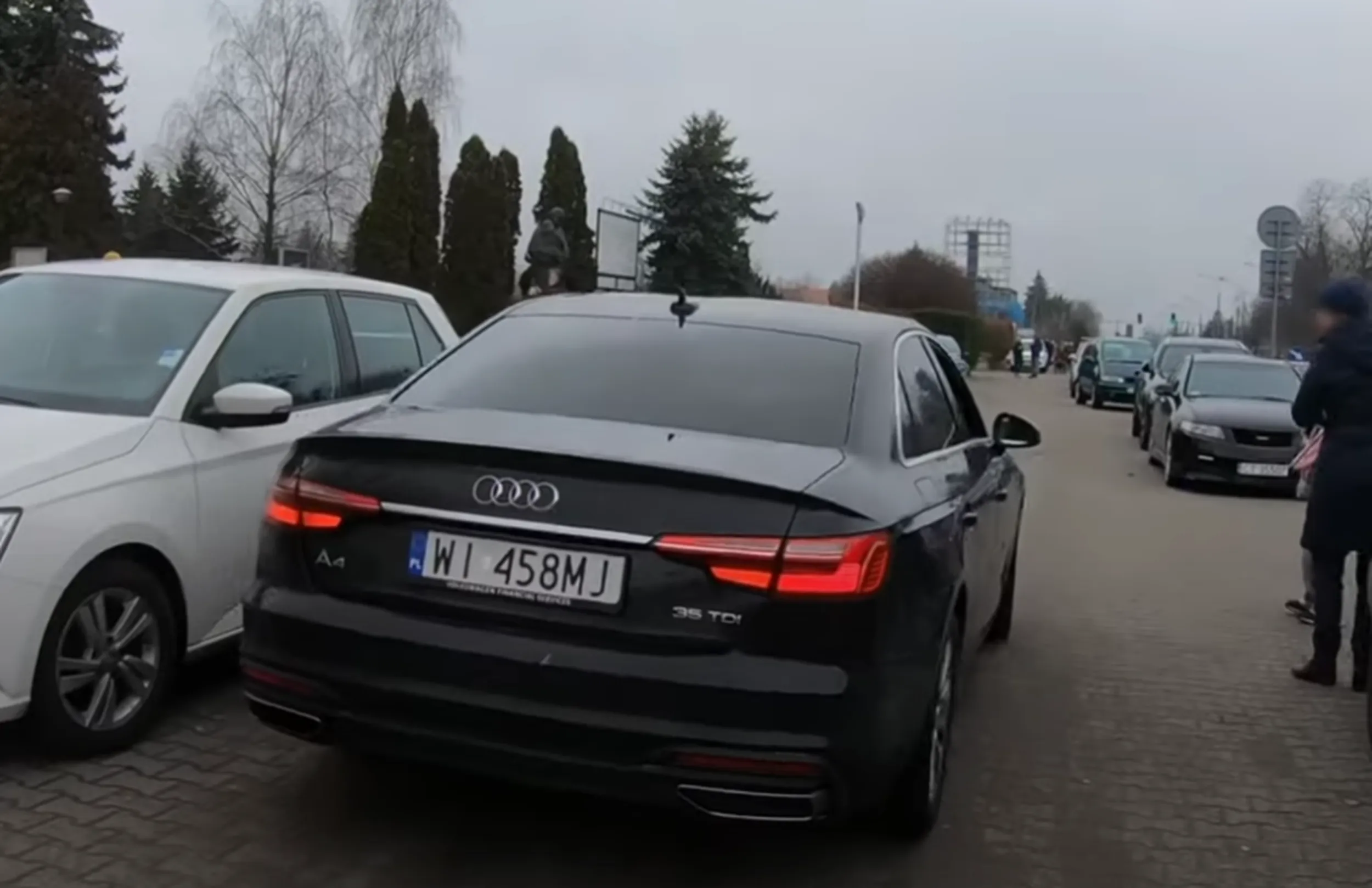 Święta krówka z wyglądu ropucha ,