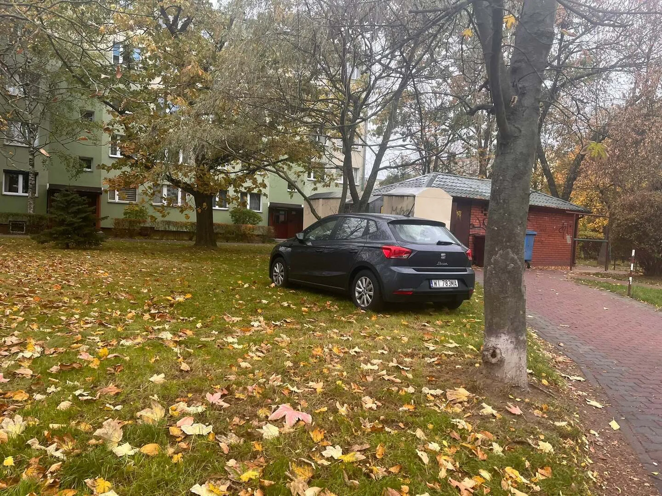 Samochód to nie krowa, a trawa to nie pastwisko ?