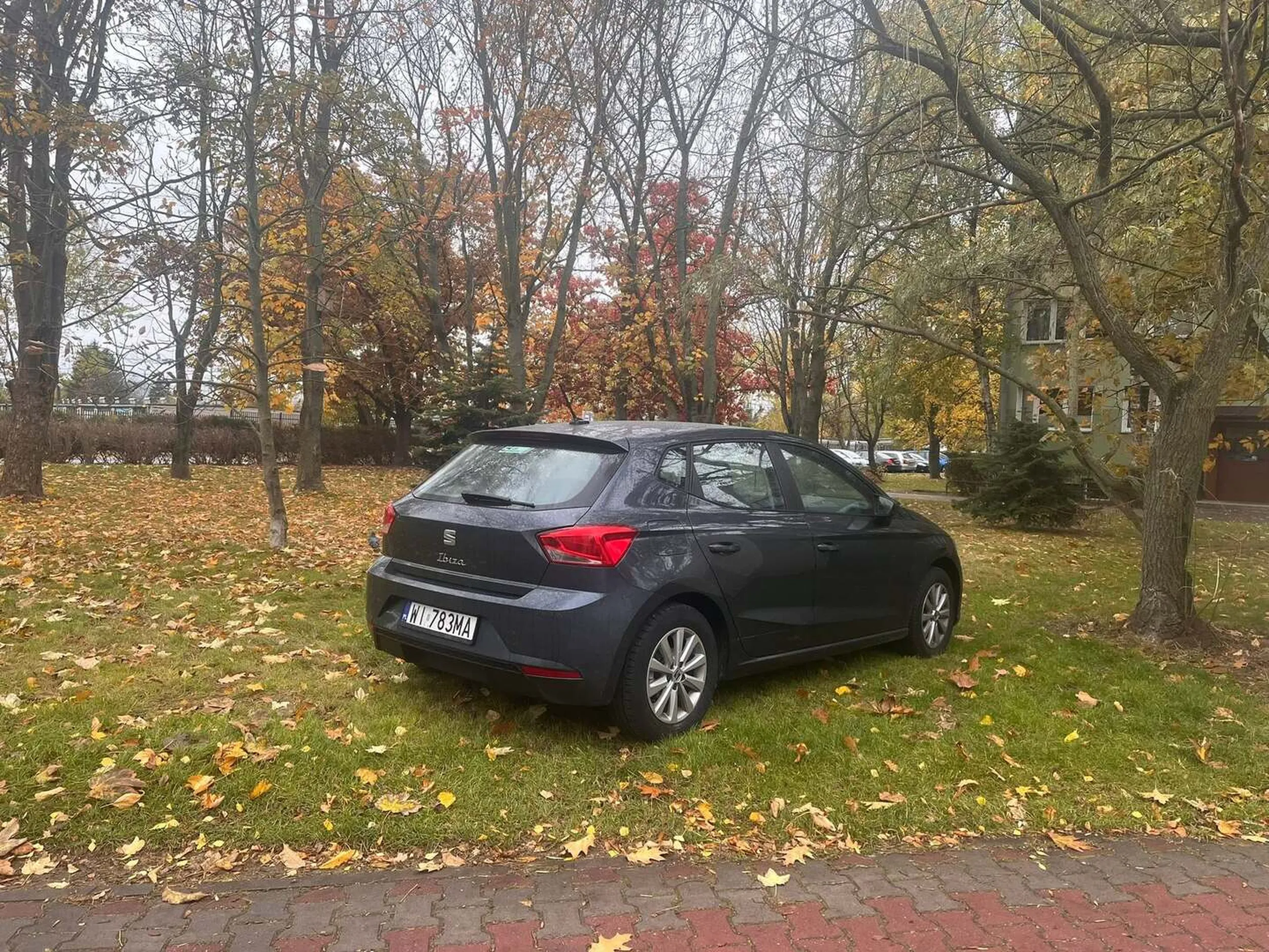 Samochód to nie krowa, a trawa to nie pastwisko ?