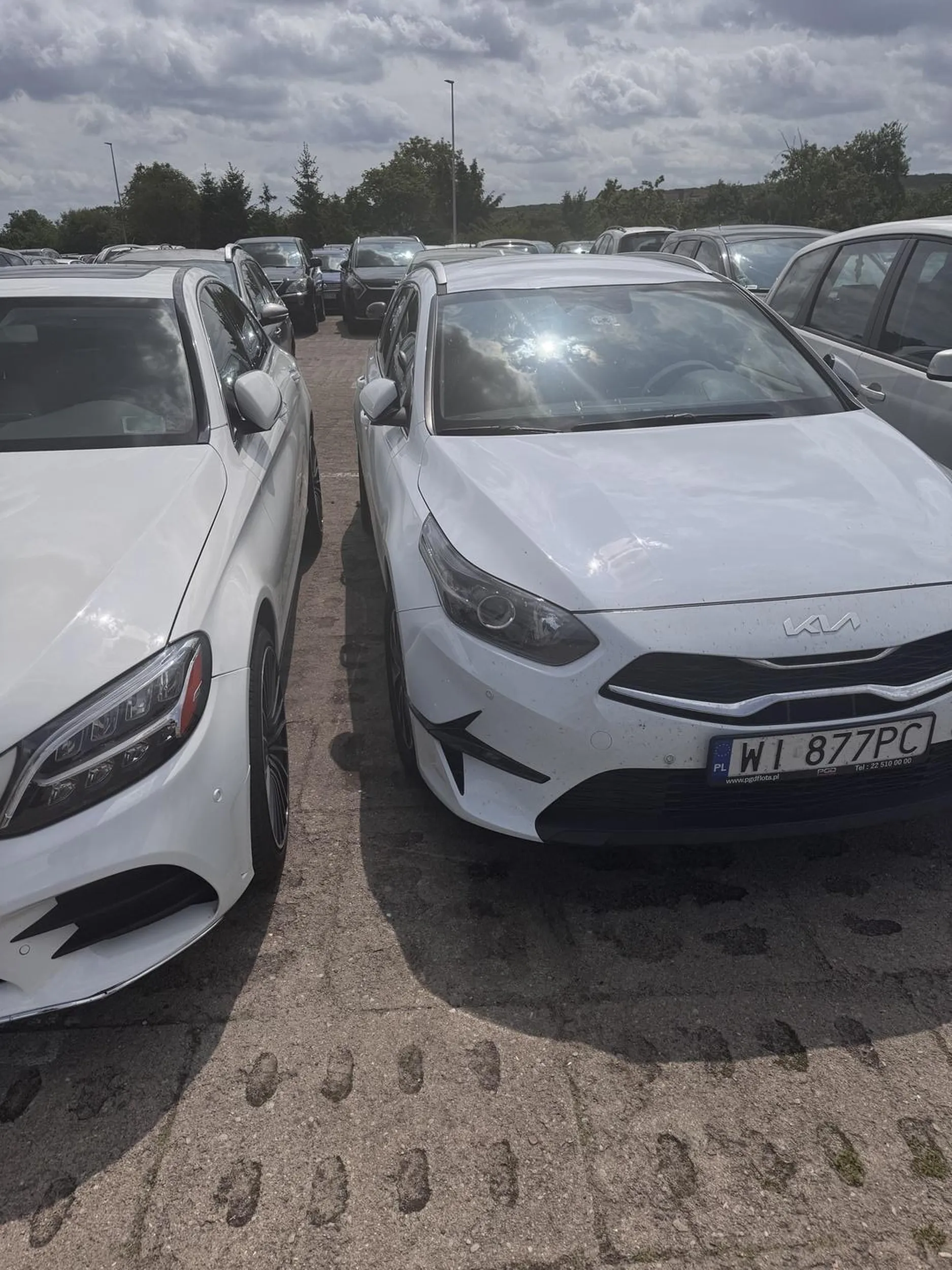 Profesjonalne parkowanie koleżanka chyba przeceniła moje możliwości