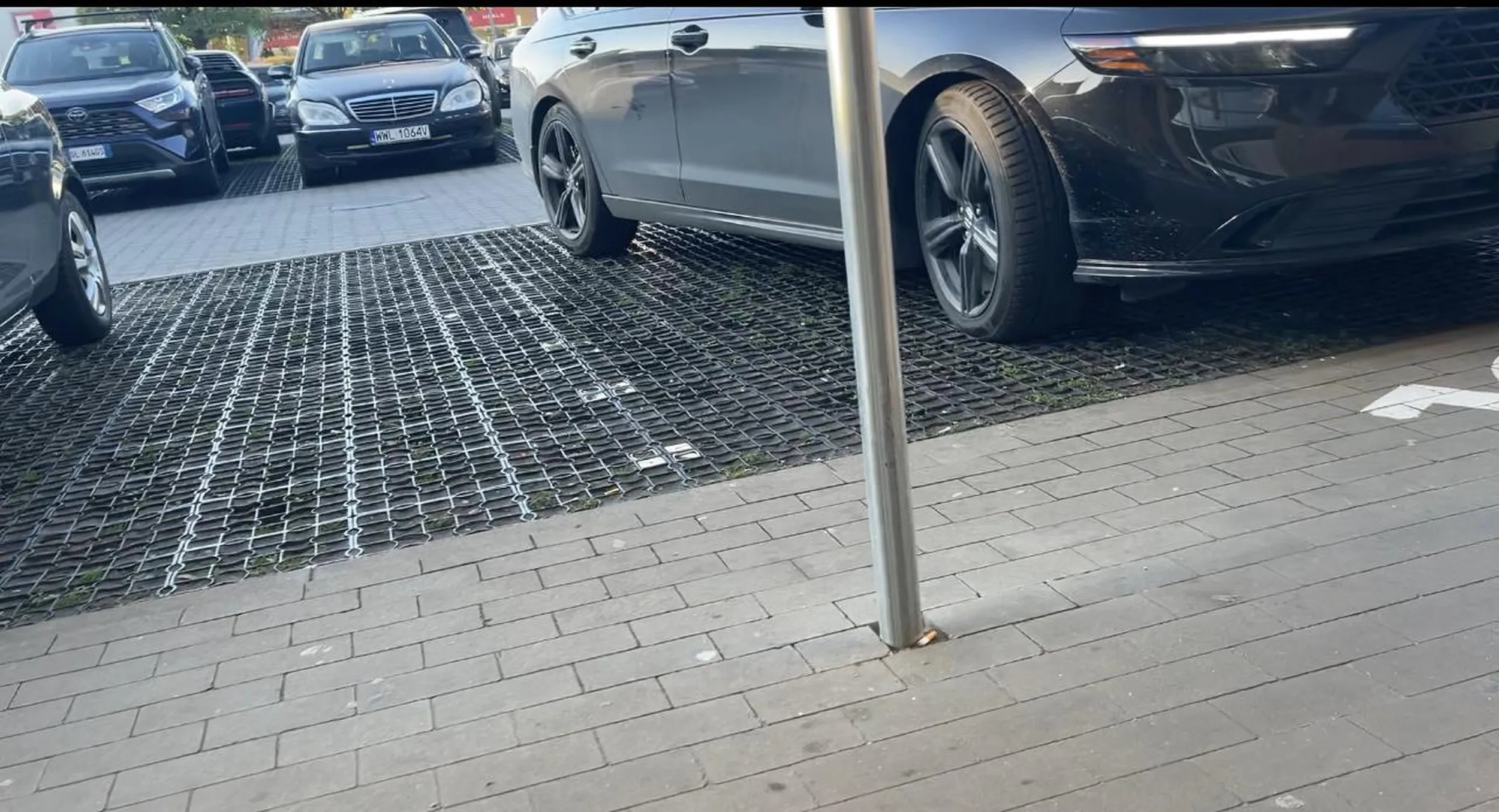 Tępy troglodyta, parkuje na miejscu dla inwalid. Inwalida umysłowy.