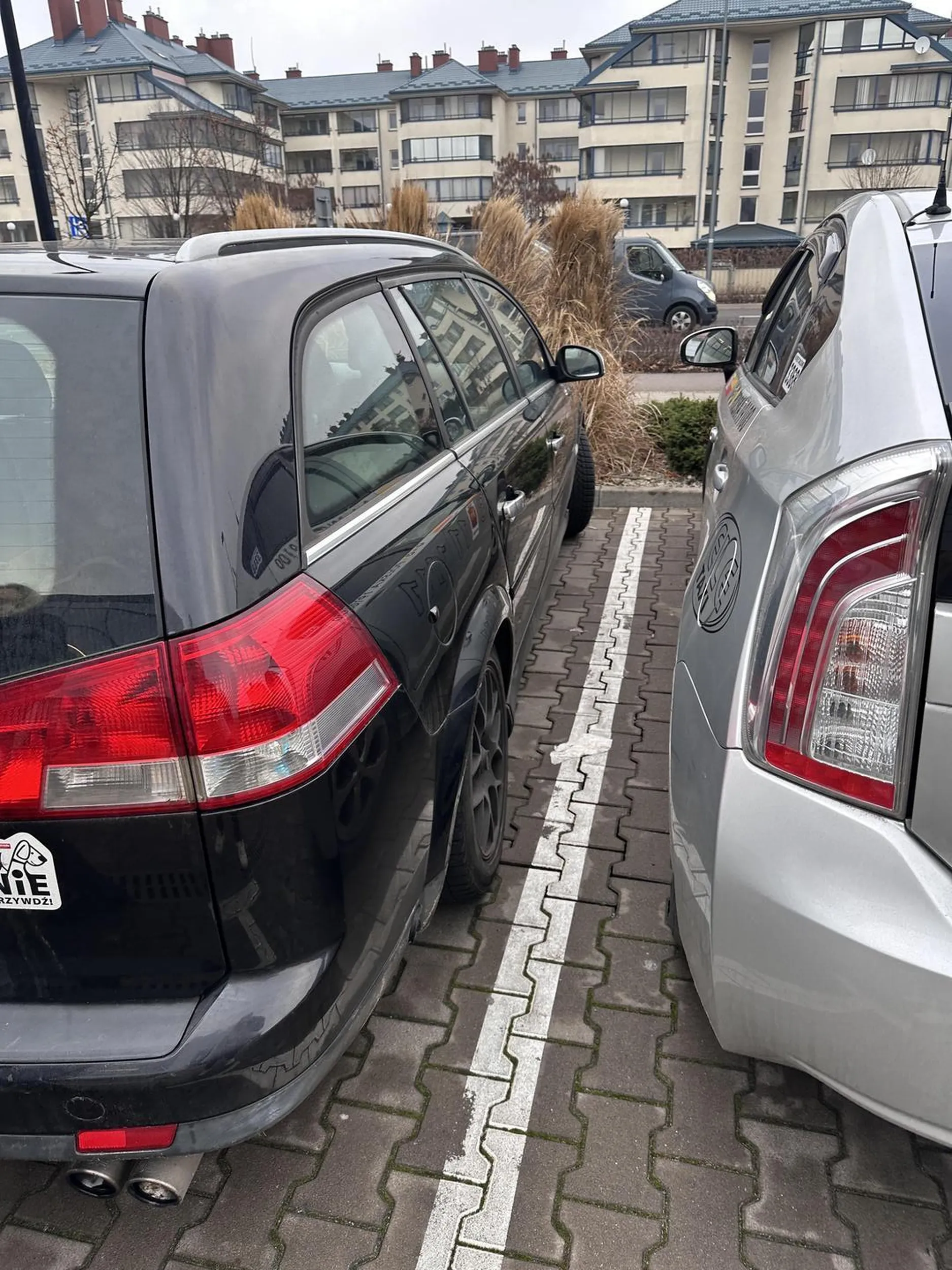 Tyle wolnego miejsca złotówo, a trzeba srebrnym po złości stanąć tak, że się nie da wejść do samochód. Prosi się o naklejkę.