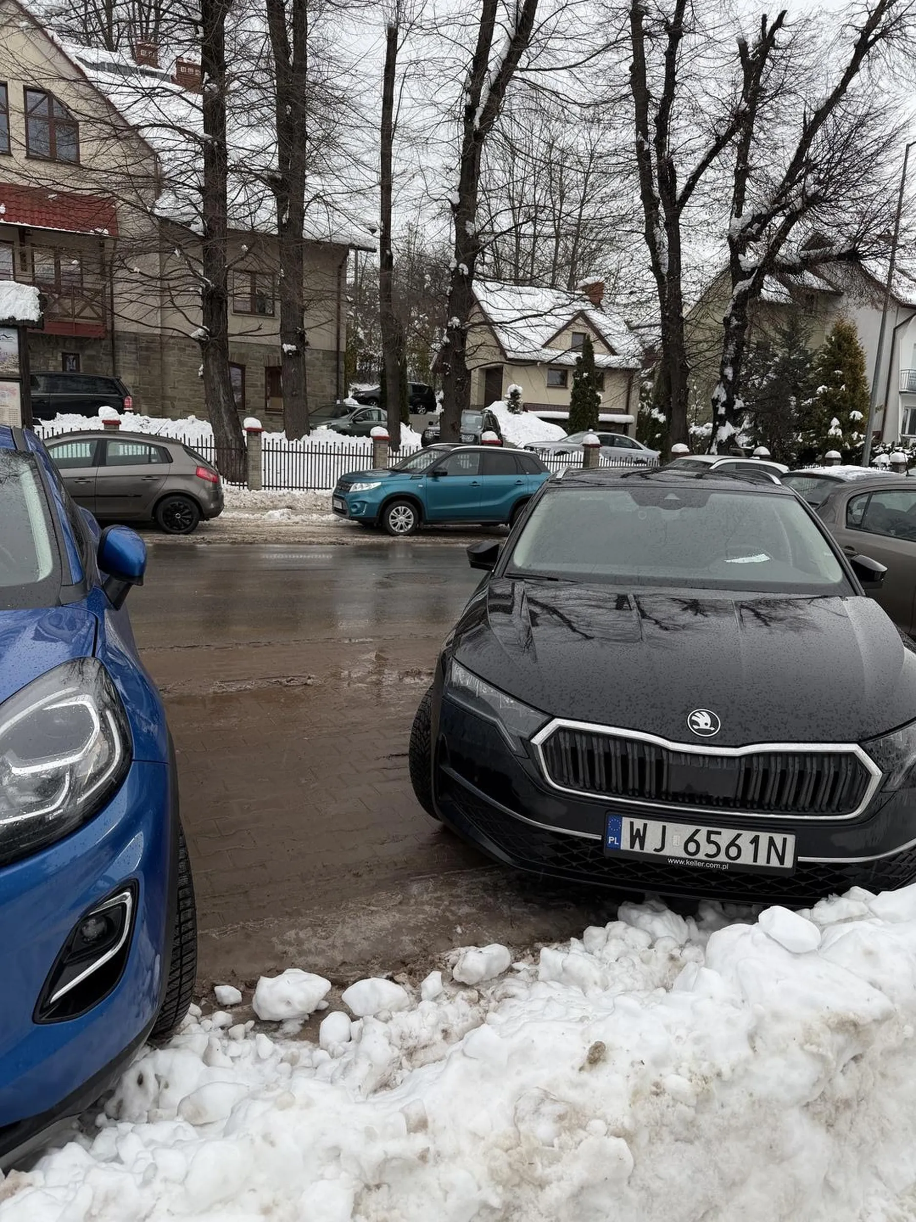 linie są po to żeby się do nich stosować ułomku