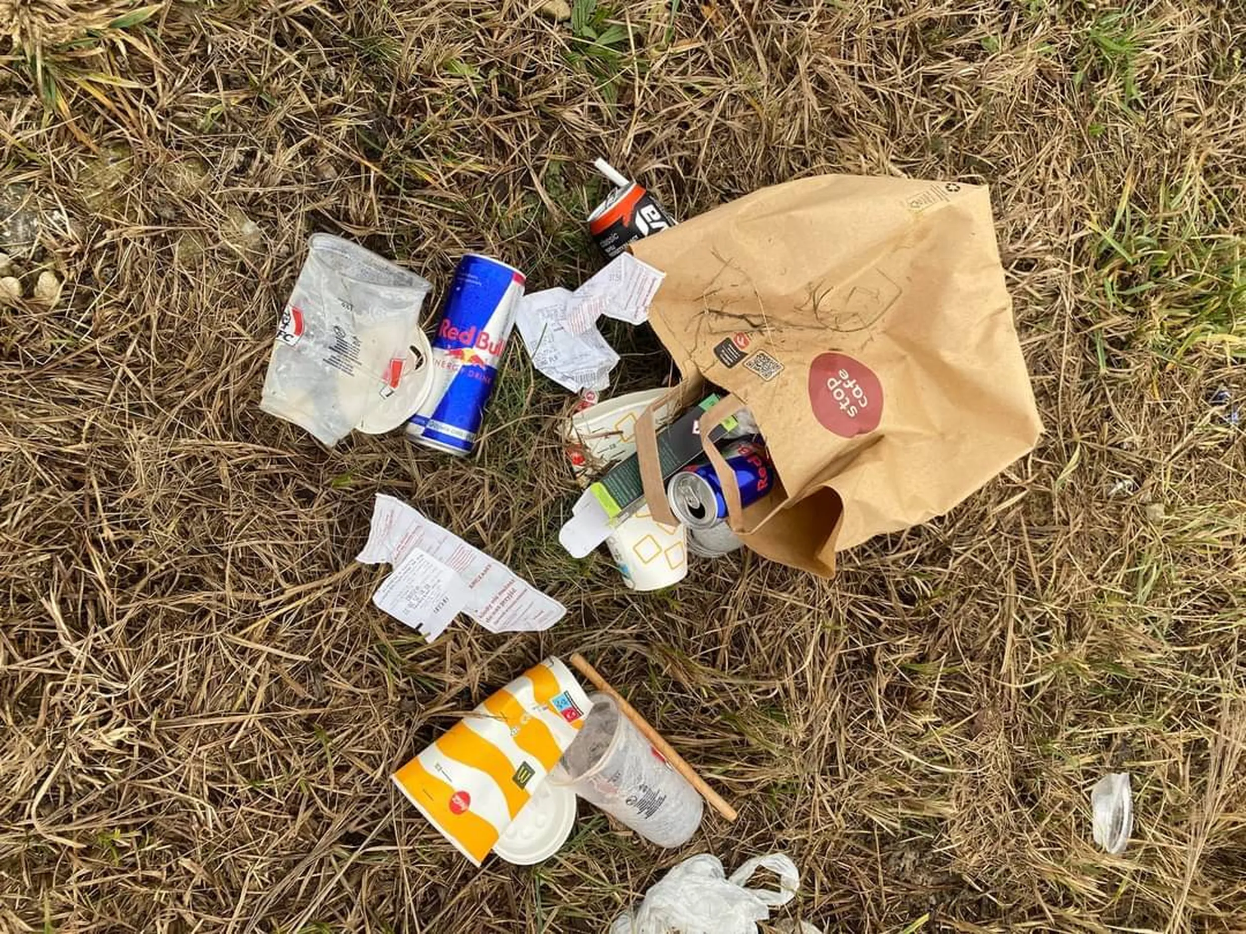 Burak, wyrzuca śmieci z auta ze swoimi numerami.