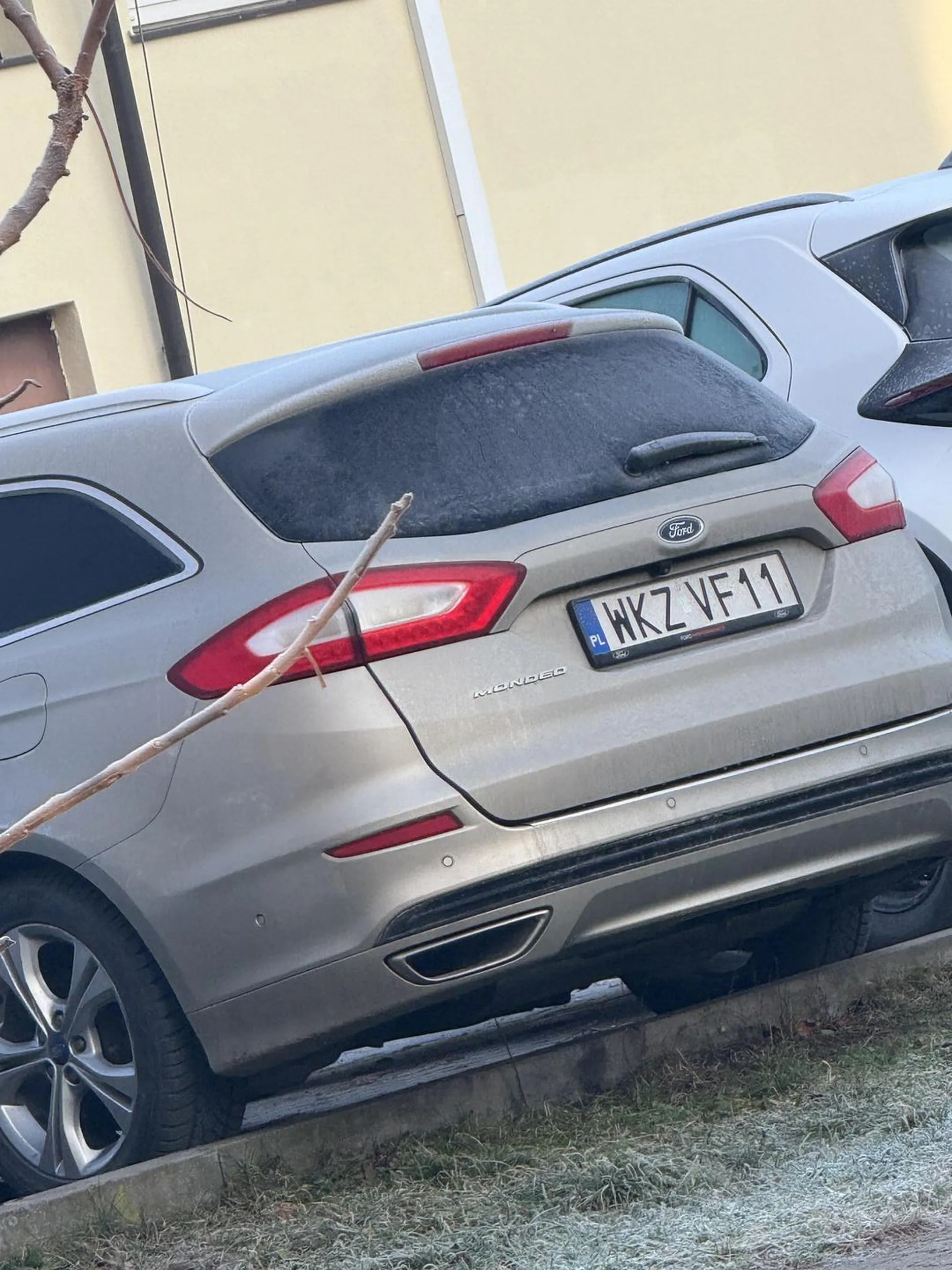 Osobnik nie wiadomo jakiej płci, ale zawsze się tak wepcha, że się nie da zaparkować, albo co najgorsze WYJŚĆ Z AUTA