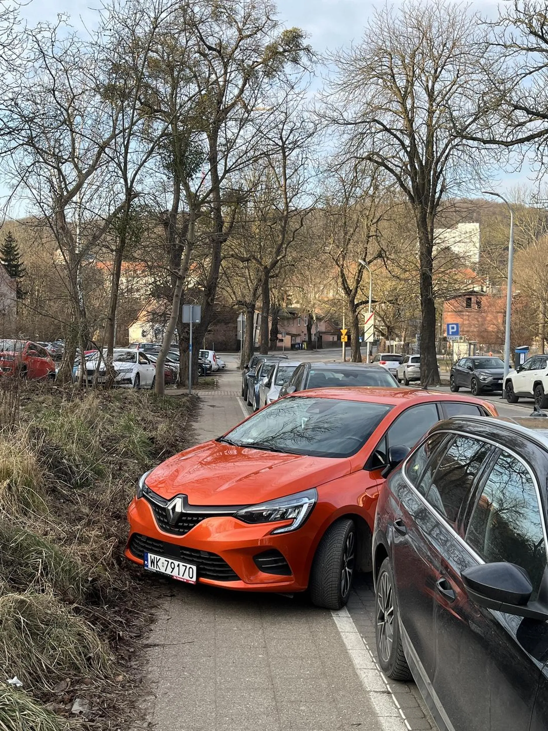 trzeba było na środku drogi stanąć