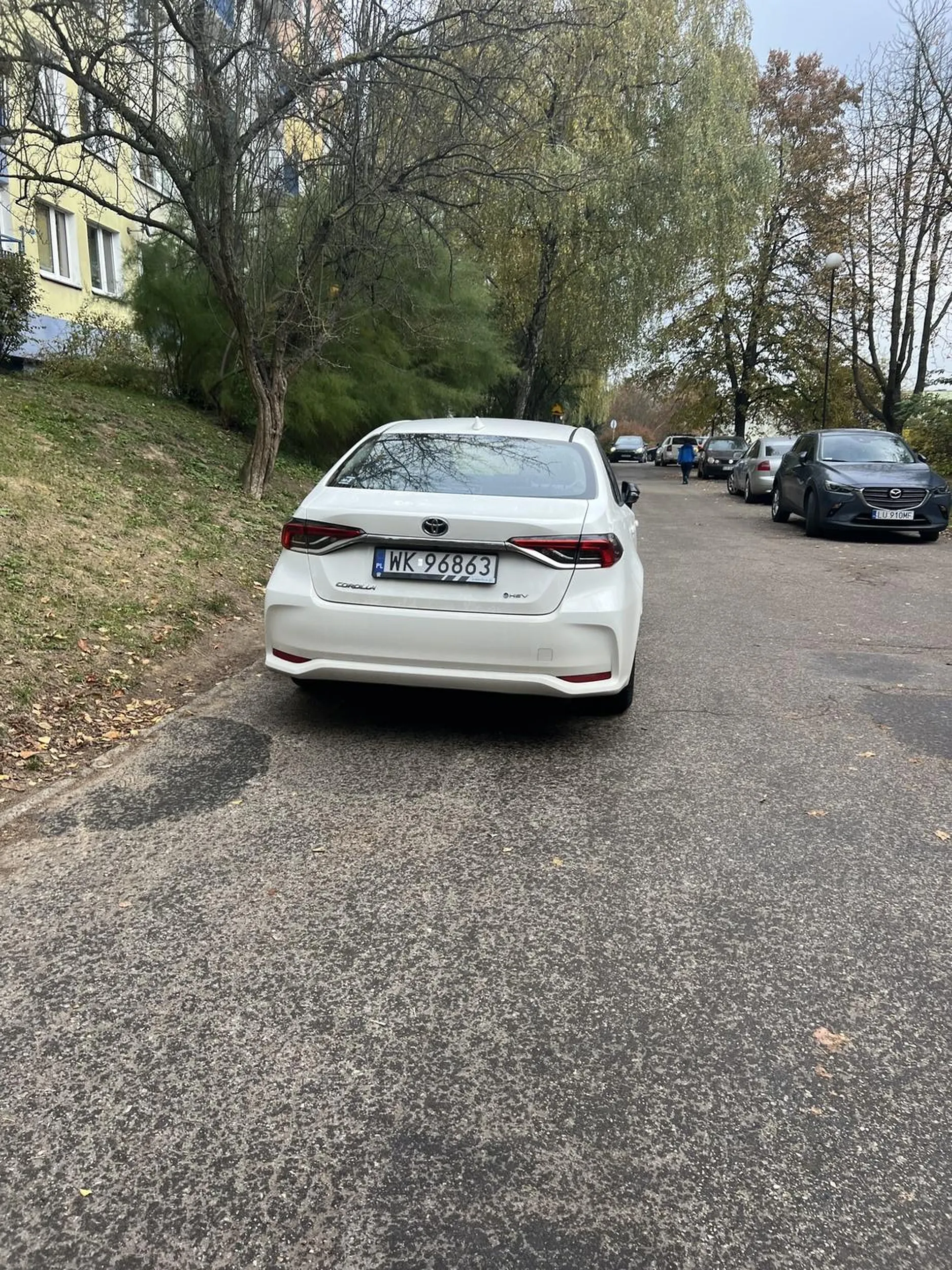 Kutong zostawił auto na środku drogi