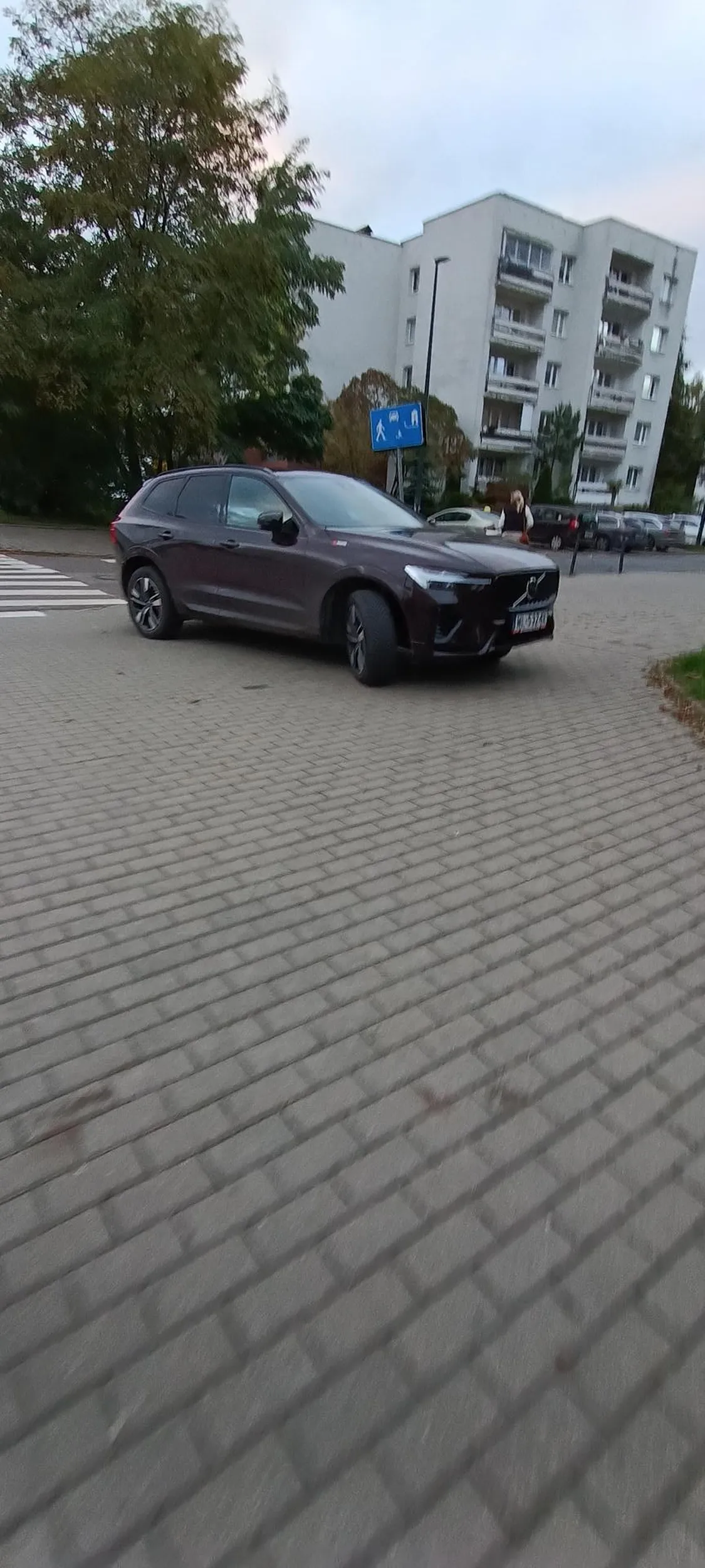 Kobieta wjechała na chodnik po przejściu dla pieszych, parkując przy nim oraz na skrzyżowaniu dróg , ograniczając widoczność !!! Łódź Olechów