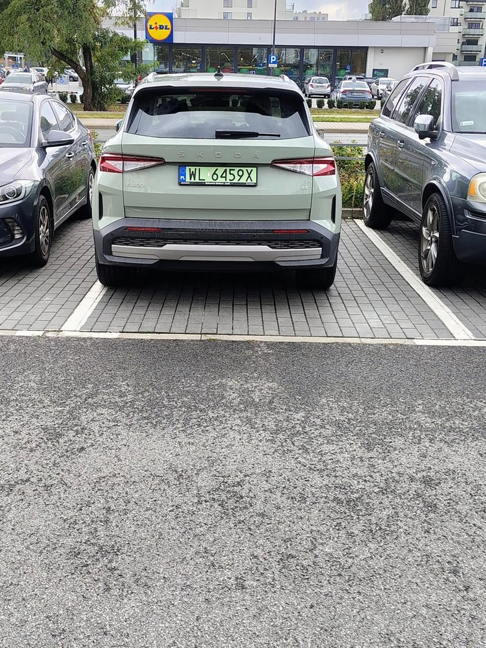 Elka w rejestracji zobowiązuje