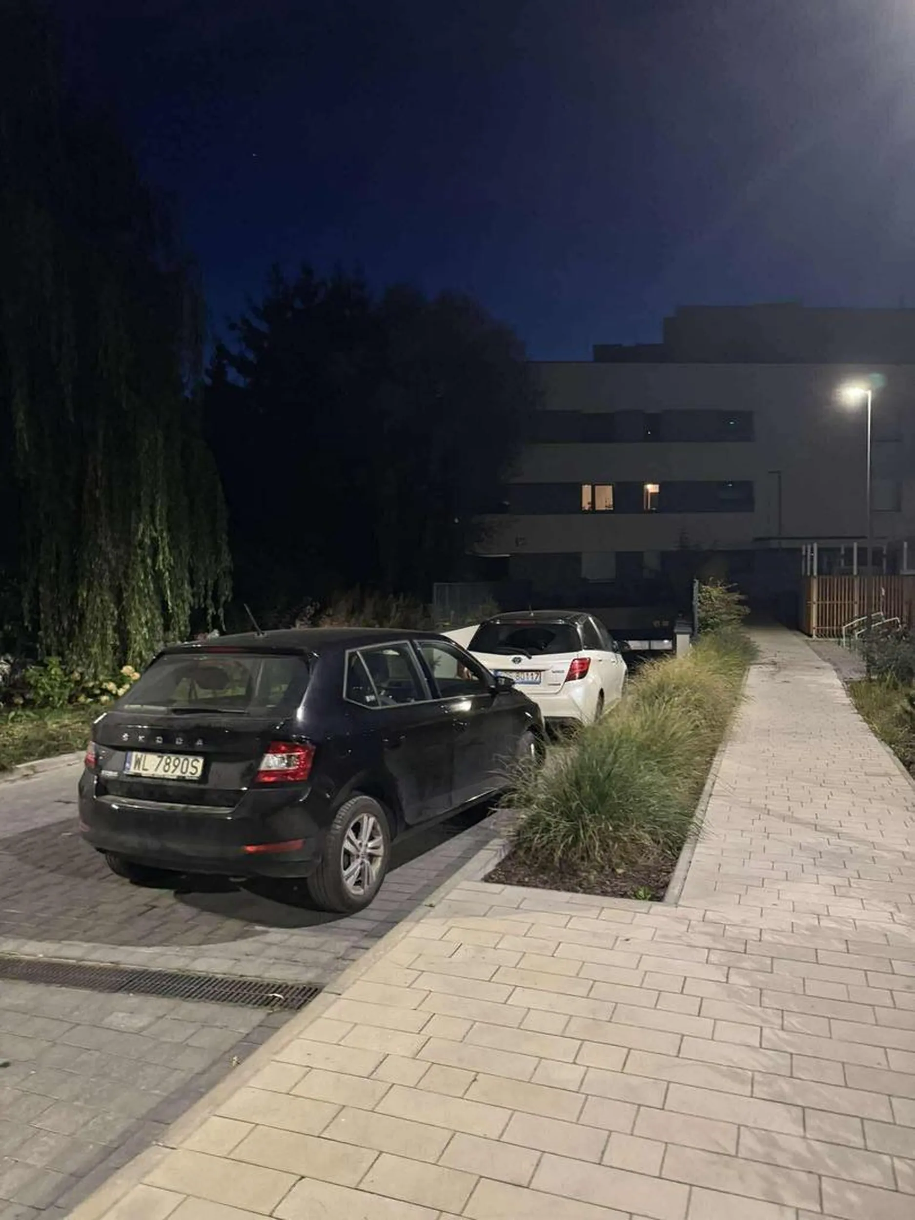 Stary moher pisowski zastawia droge pozarowa i wjazd do garazu jakim to trzeba byc podlym i bezmozgim podludziem