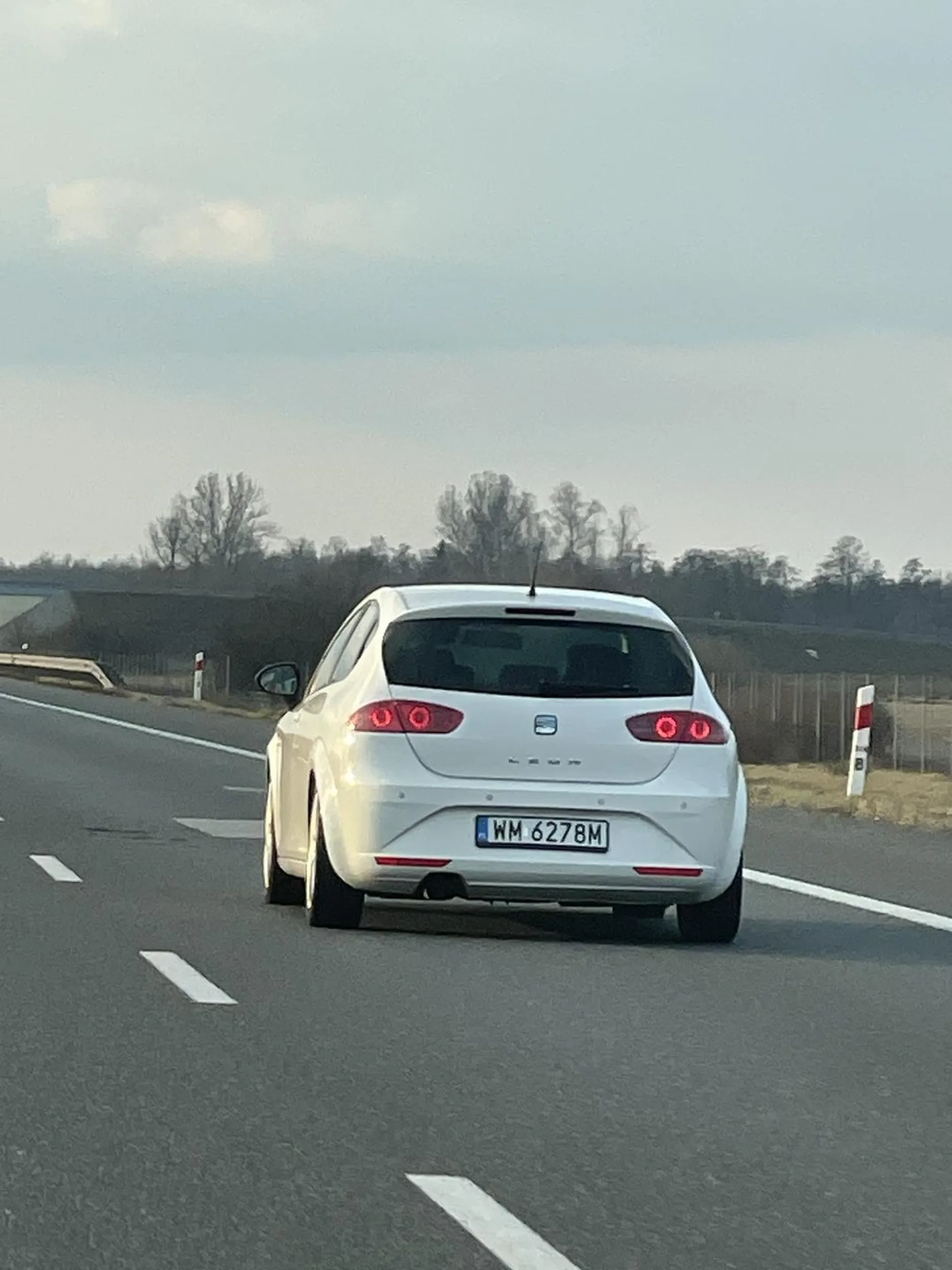 łysy galgan chce się ścigać w swoim 100 konnym seacie