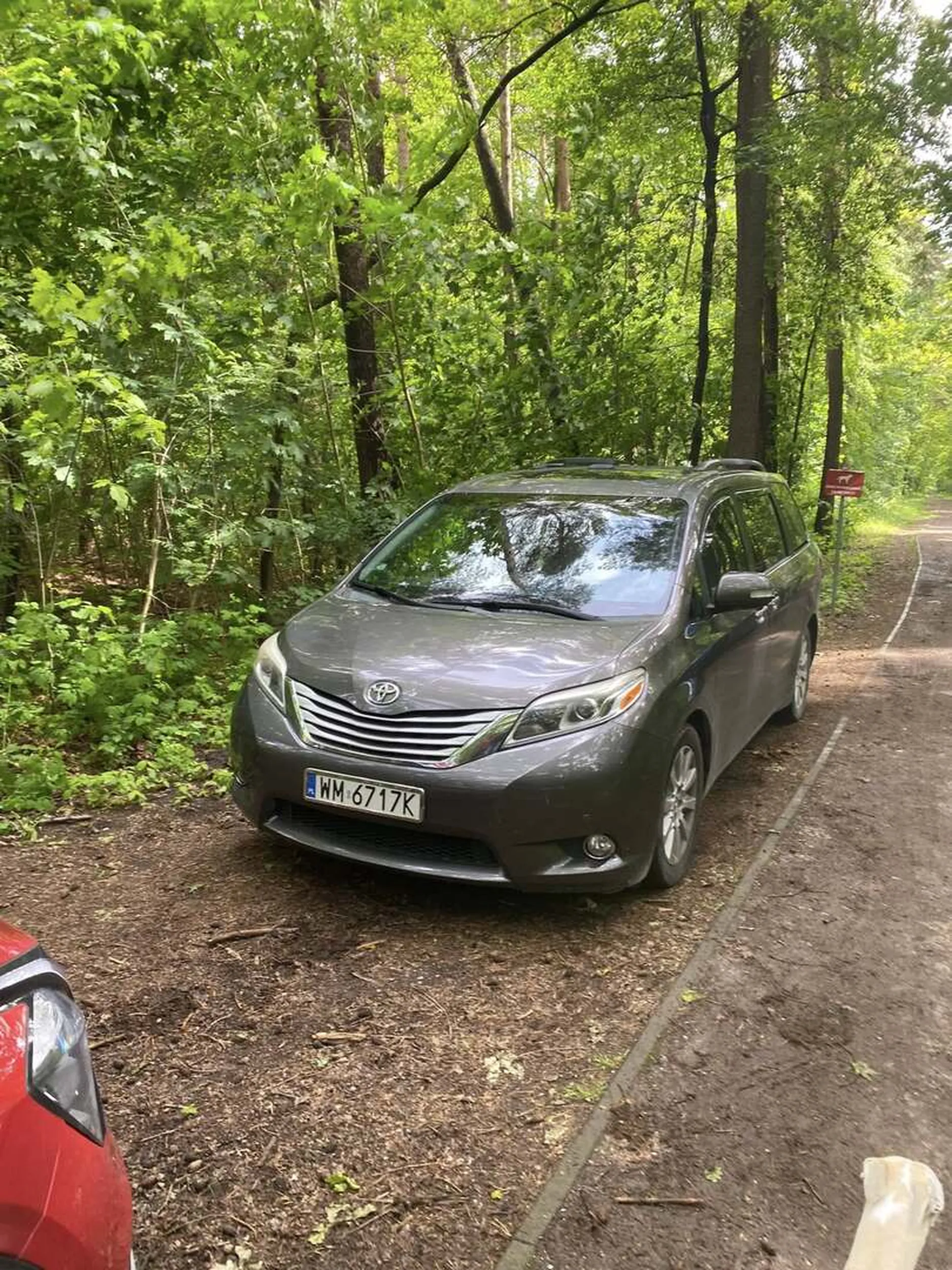 Kutasina wjechał do lasu. Bez mózgu.