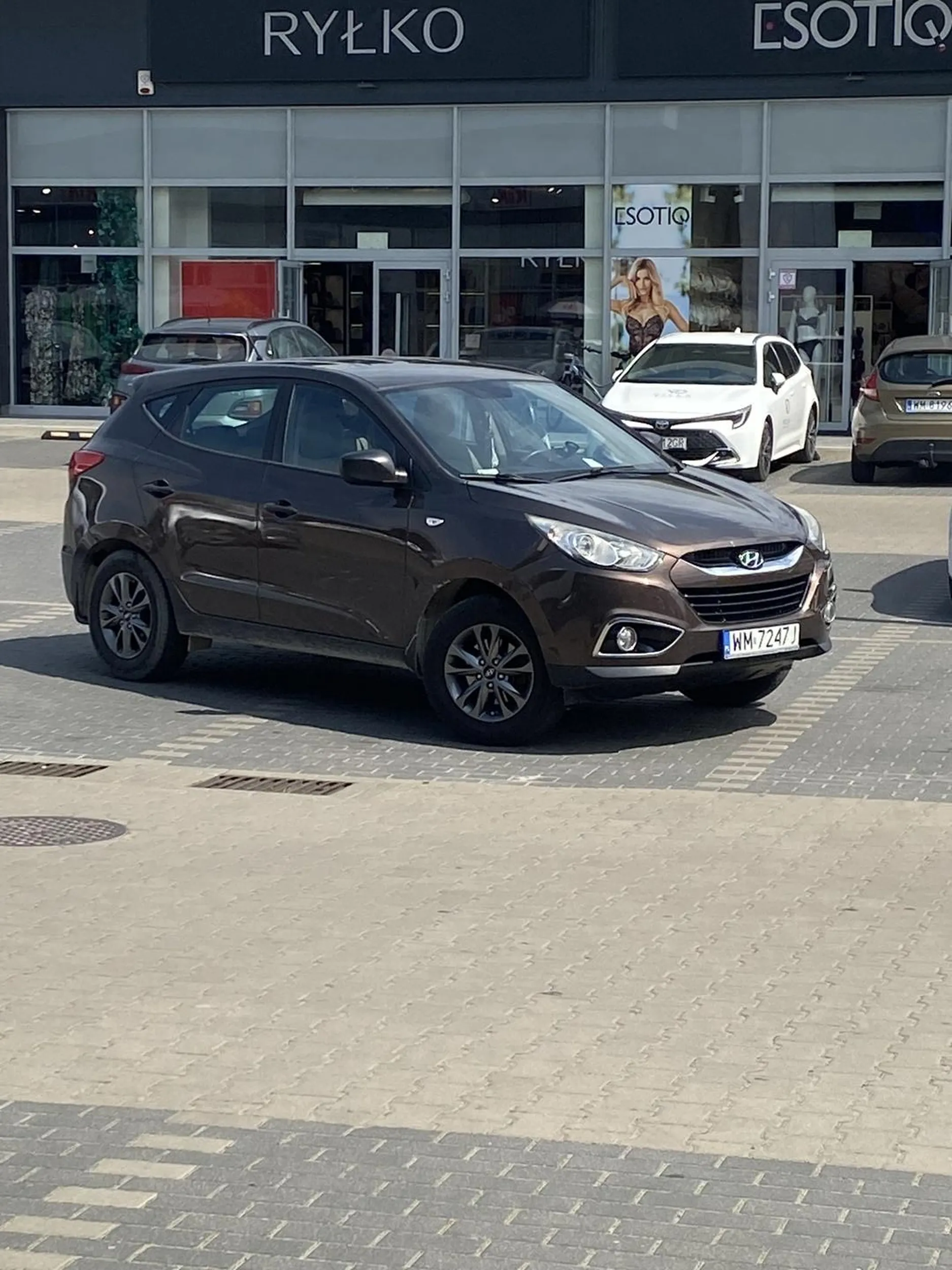 Mistrz parkowania w liniach