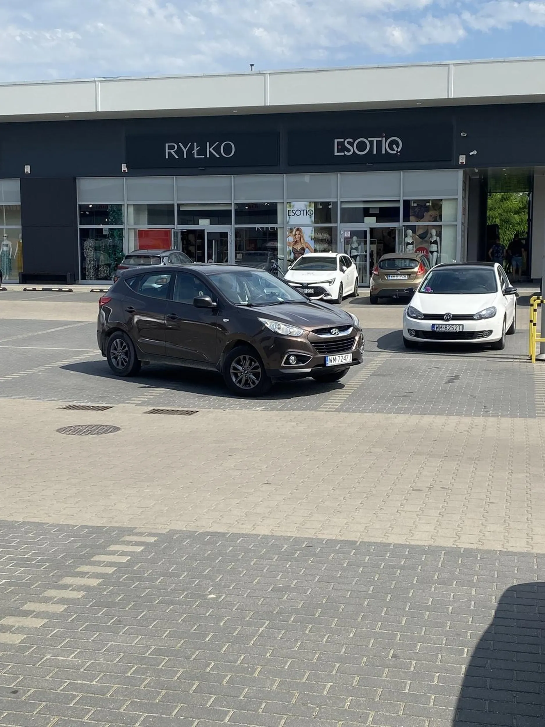 Mistrz parkowania w liniach