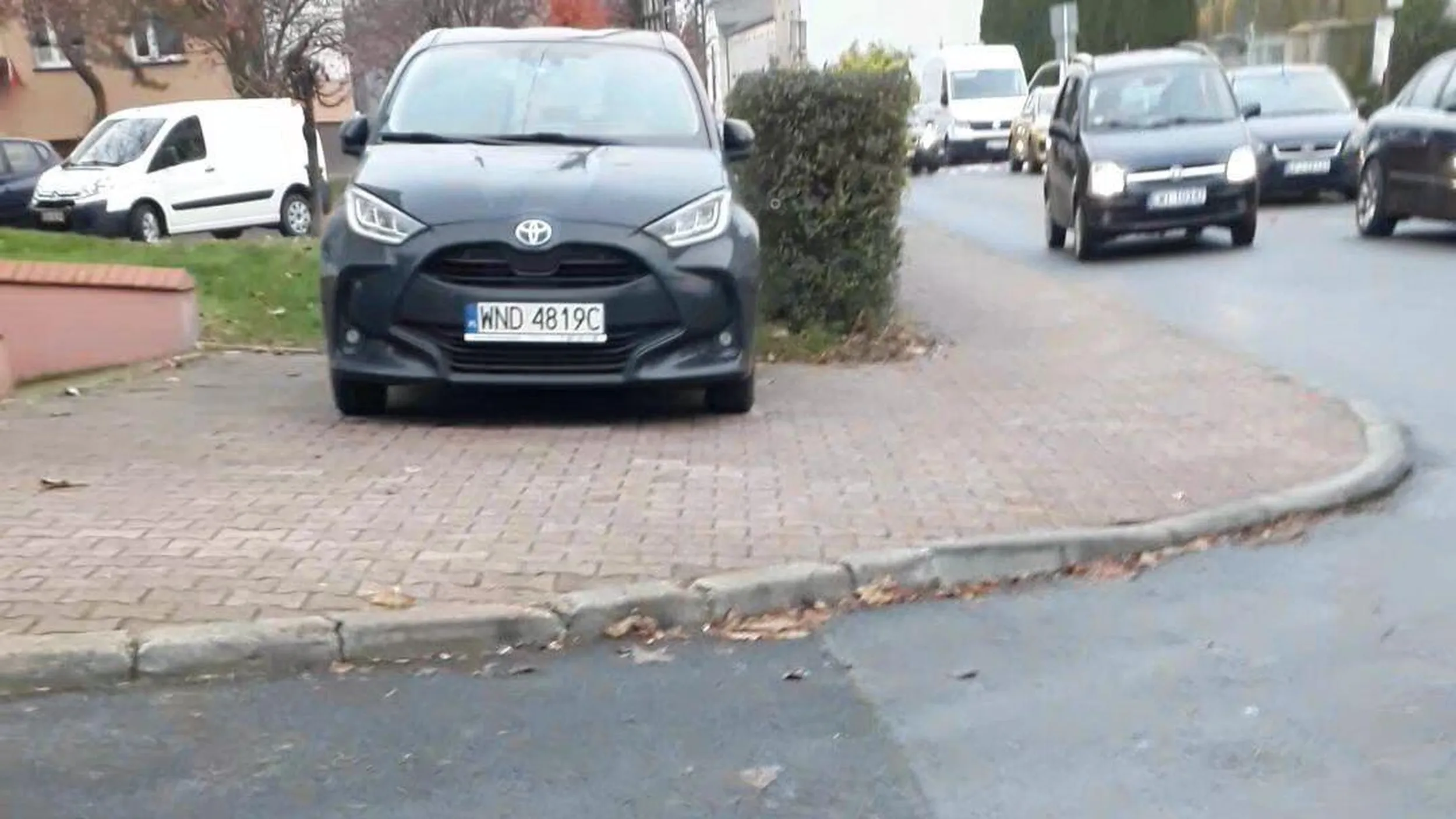 Po prostu cham i tyle.