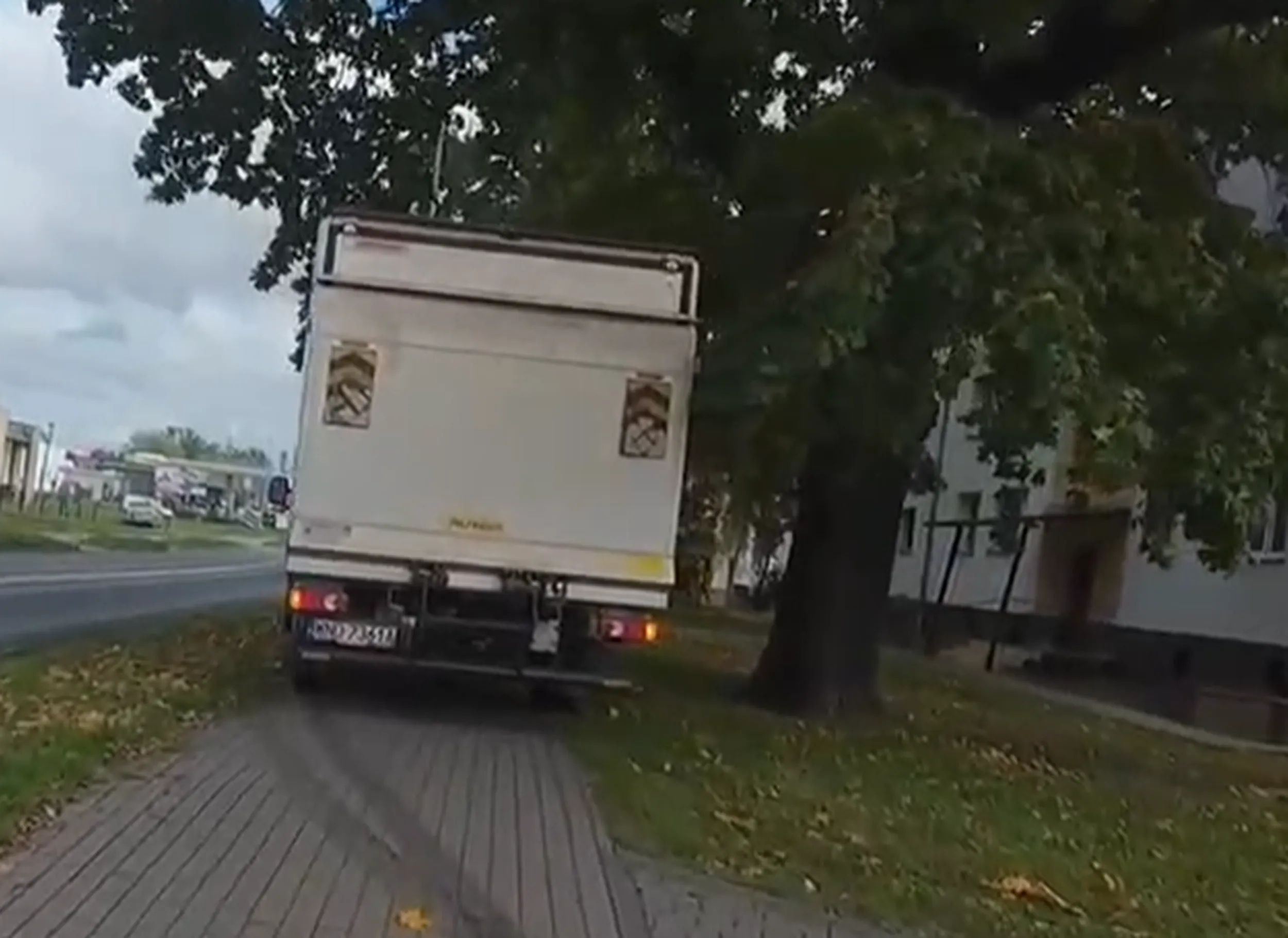 jezdzi po chodniku i niszczy zielen