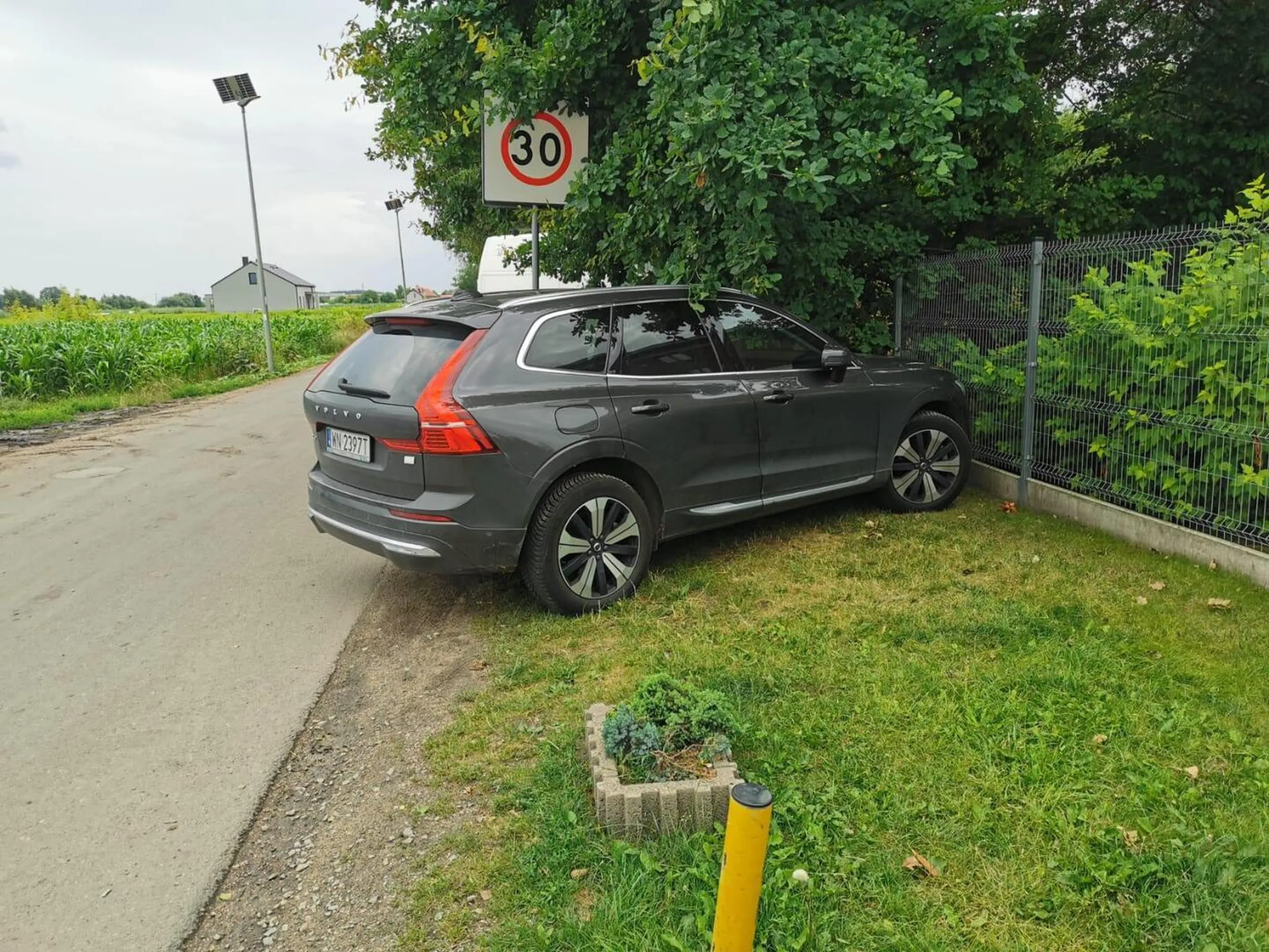 Kierowca udaje choinkę albo inny kwiatek:/ nie wie, że na trawie się nie staje