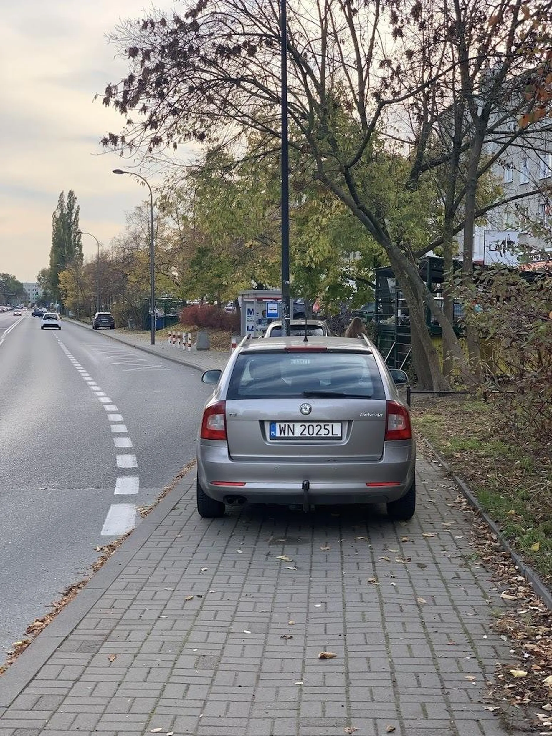 Mijałem auto zostawione na awaryjnych. Po godzinie dalej stało. Chamstwo bez mózgu.